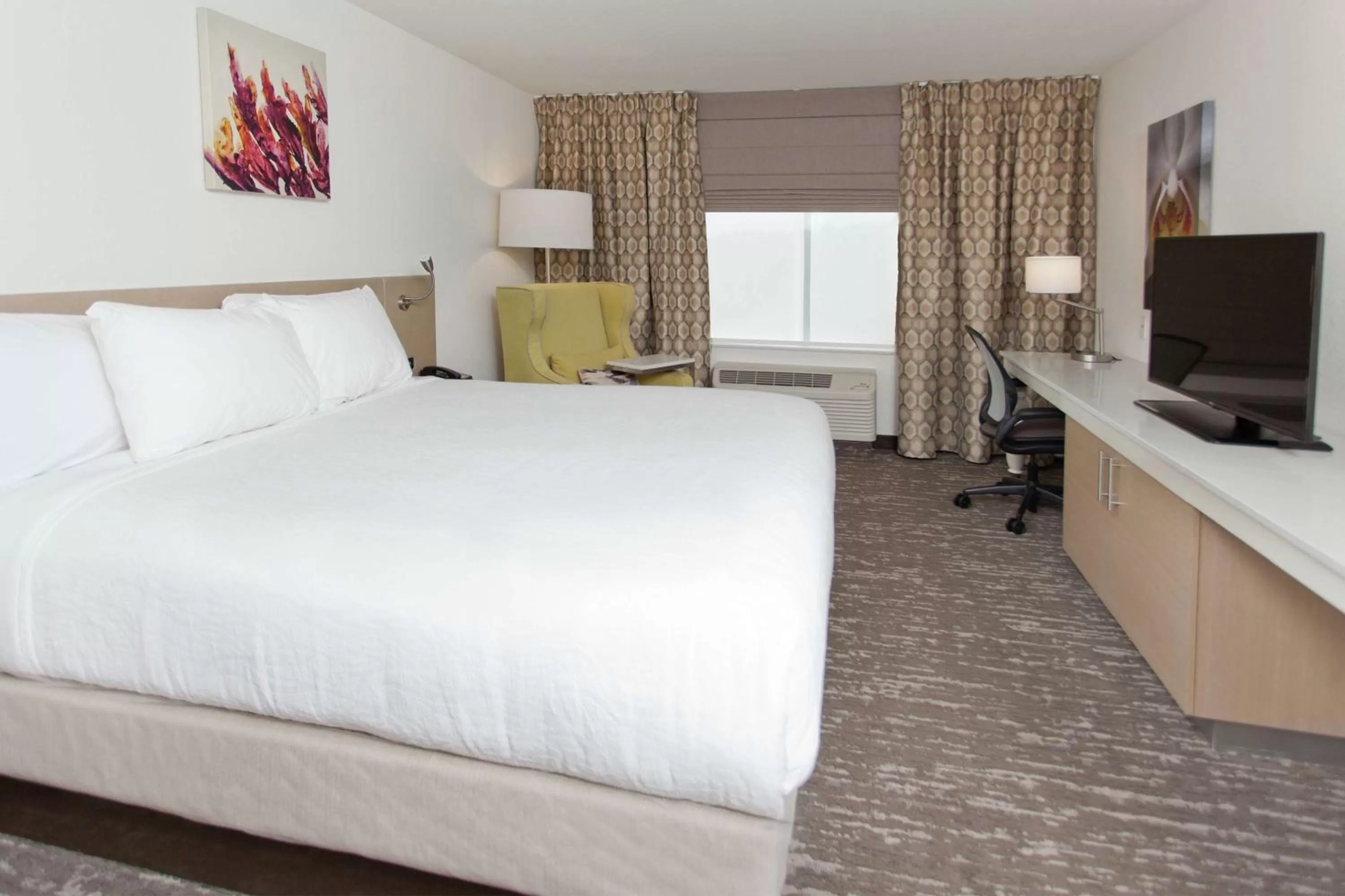 King Room with Bath Tub - Mobility/Hearing Access in Hilton Garden Inn Montgomery - EastChase