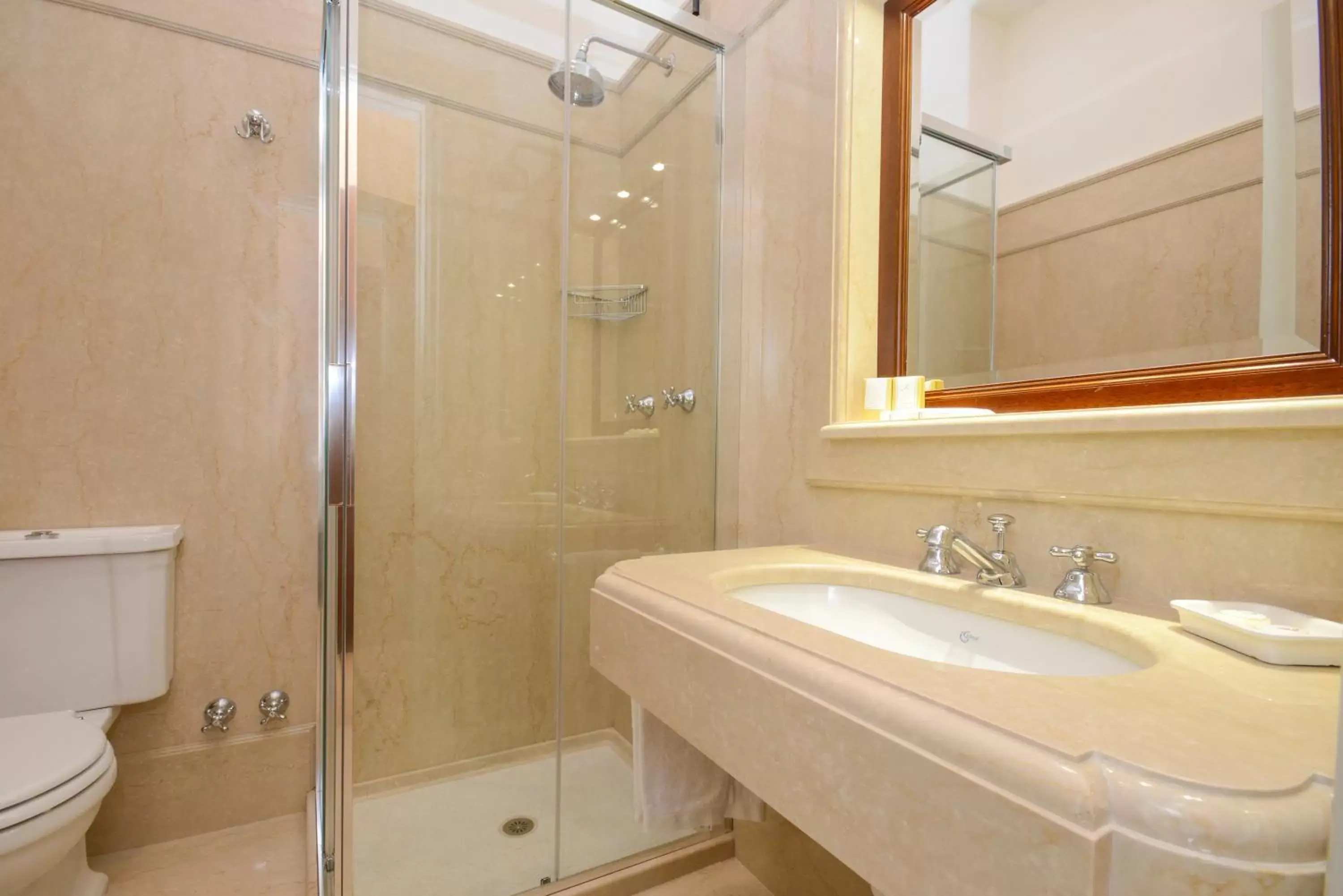 Superior Single Room in Hotel Vittoria Superior Single Room in Hotel Vittoria