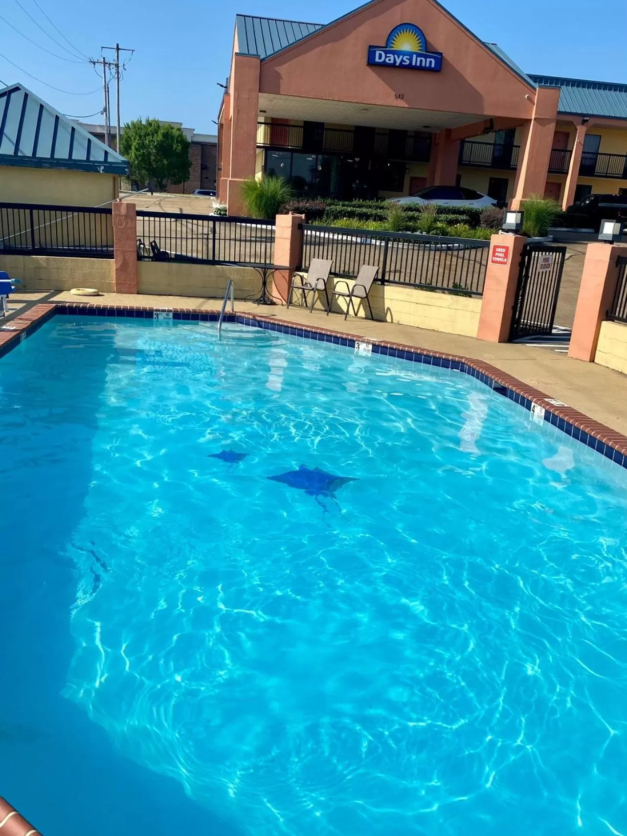 Swimming pool in Days Inn by Wyndham Hernando
