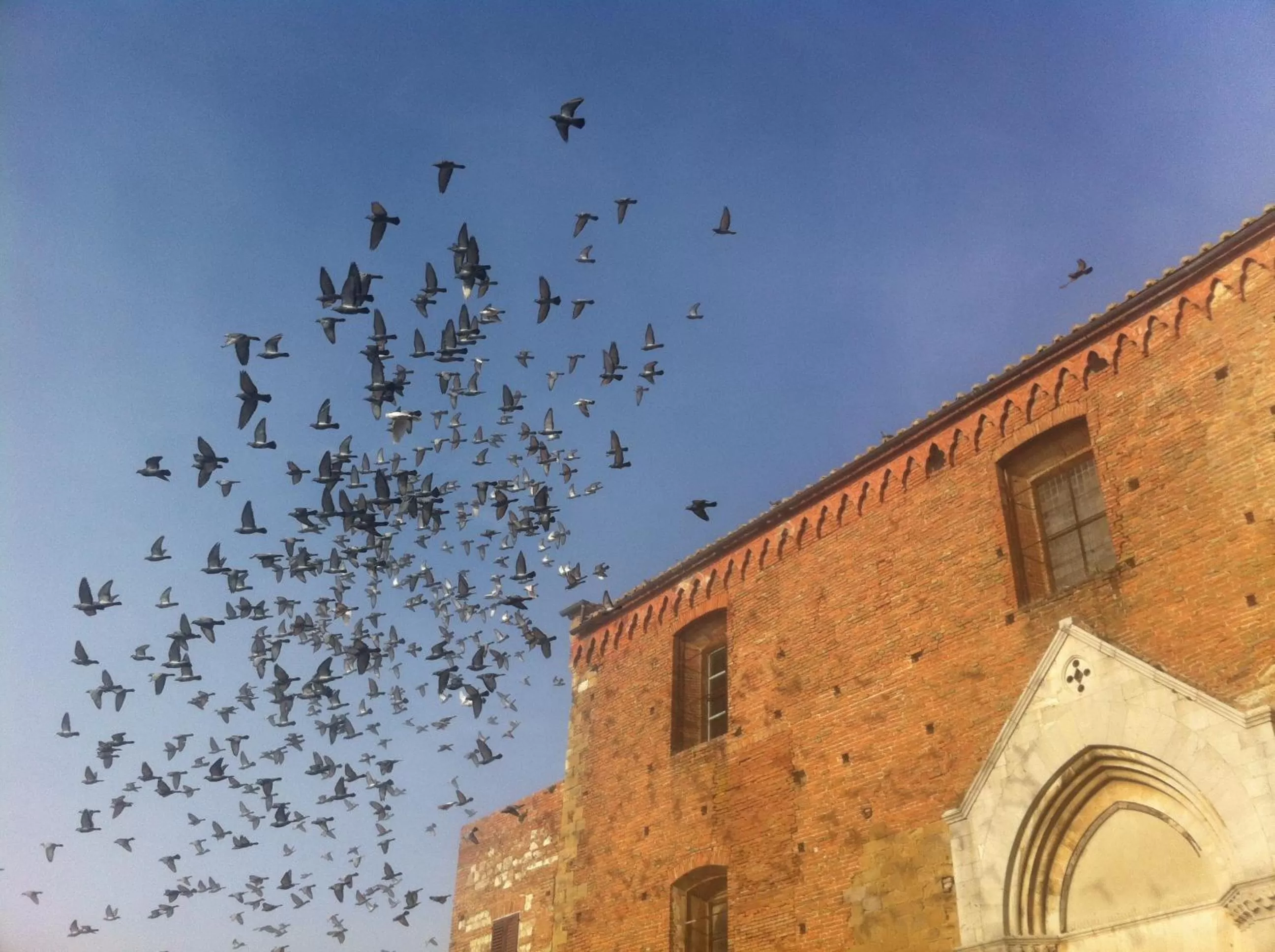 View (from property/room) in La Locanda Di San Francesco