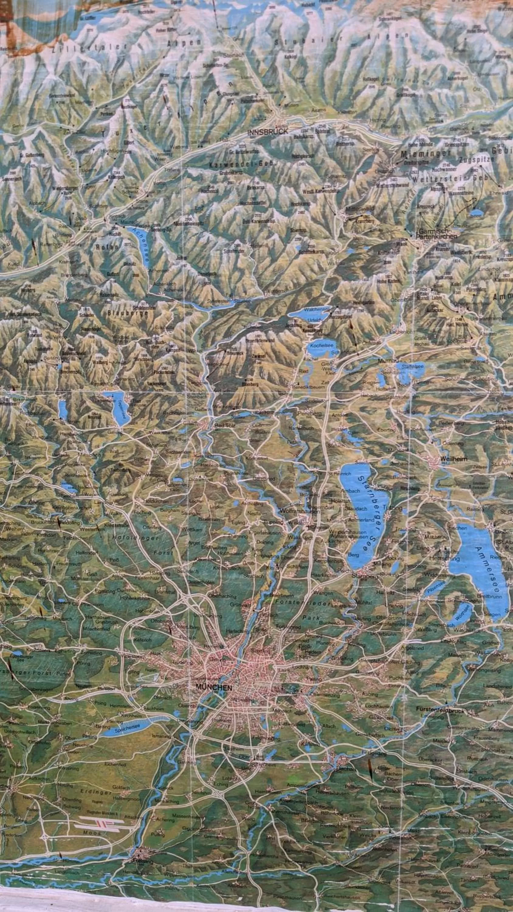 Decorative detail, Other Animals in The Pirate Haus Inn