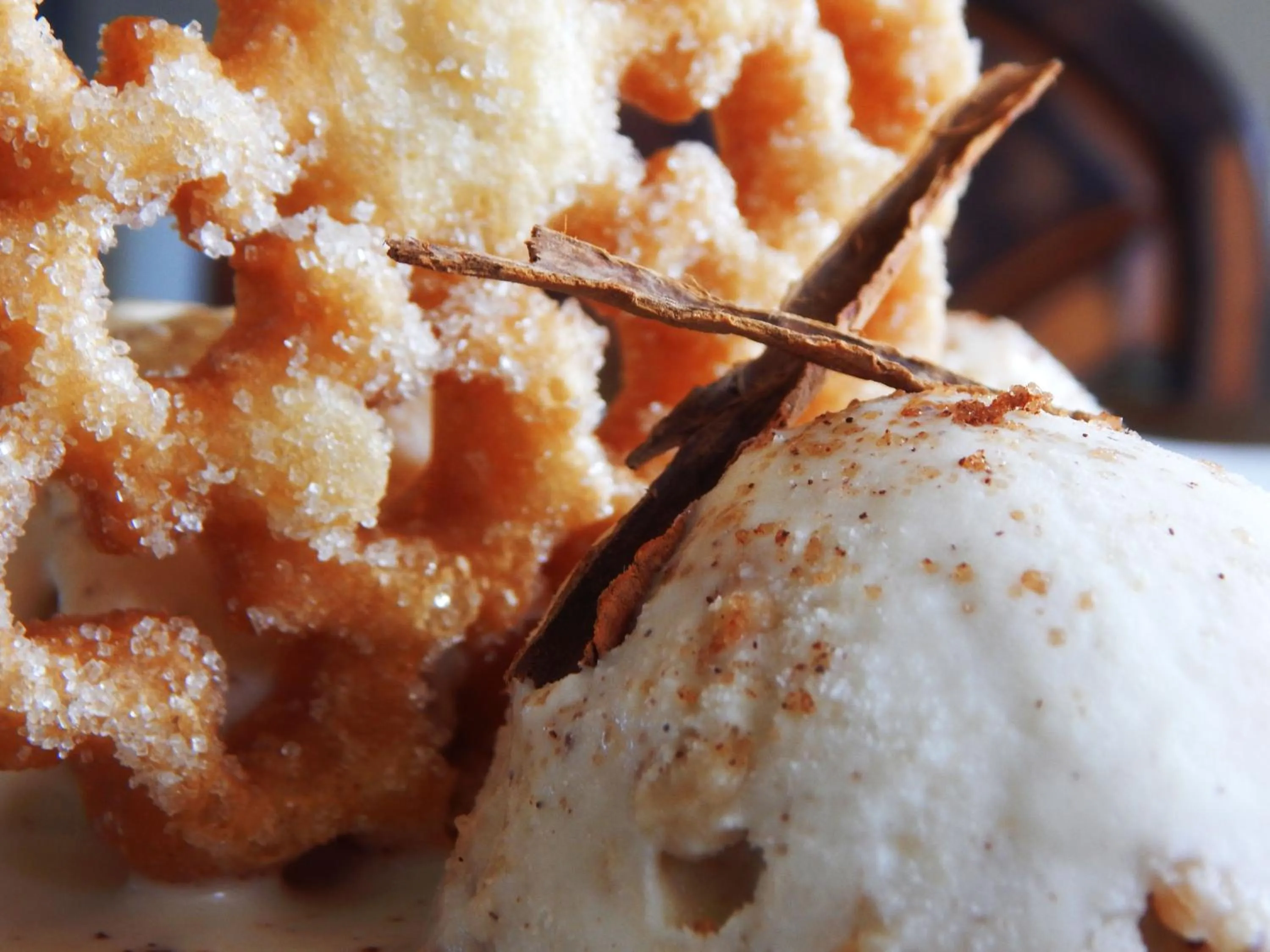 Food in Hotel Corona Plaza