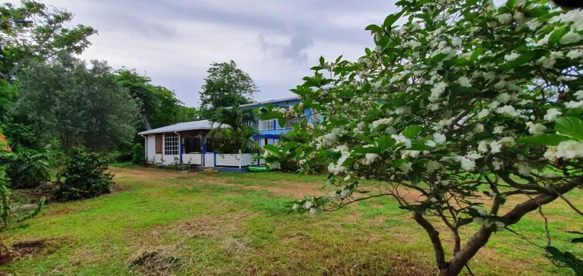 Garden in Casa Royal Palm Inn