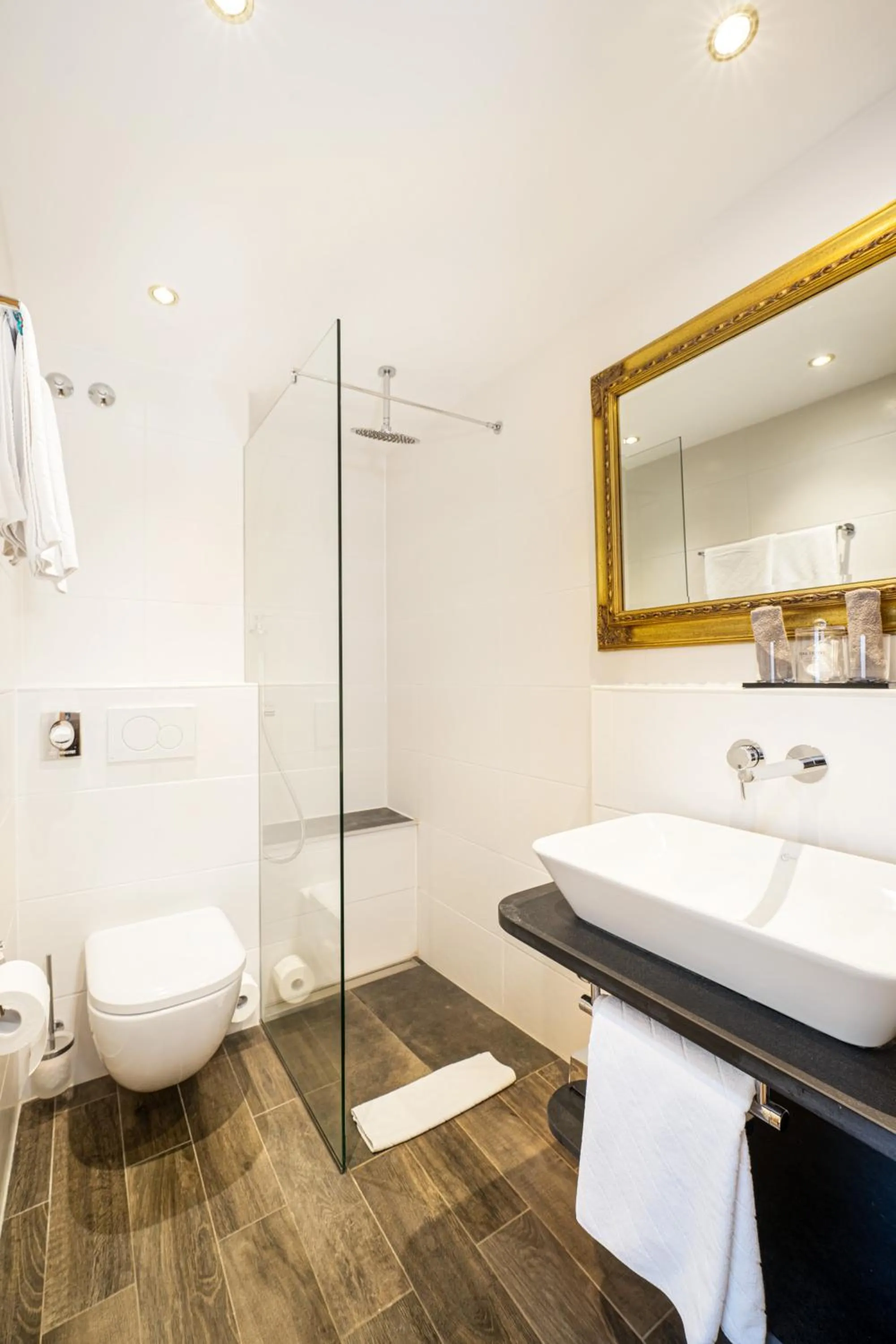 Toilet in Park Hotel Laim