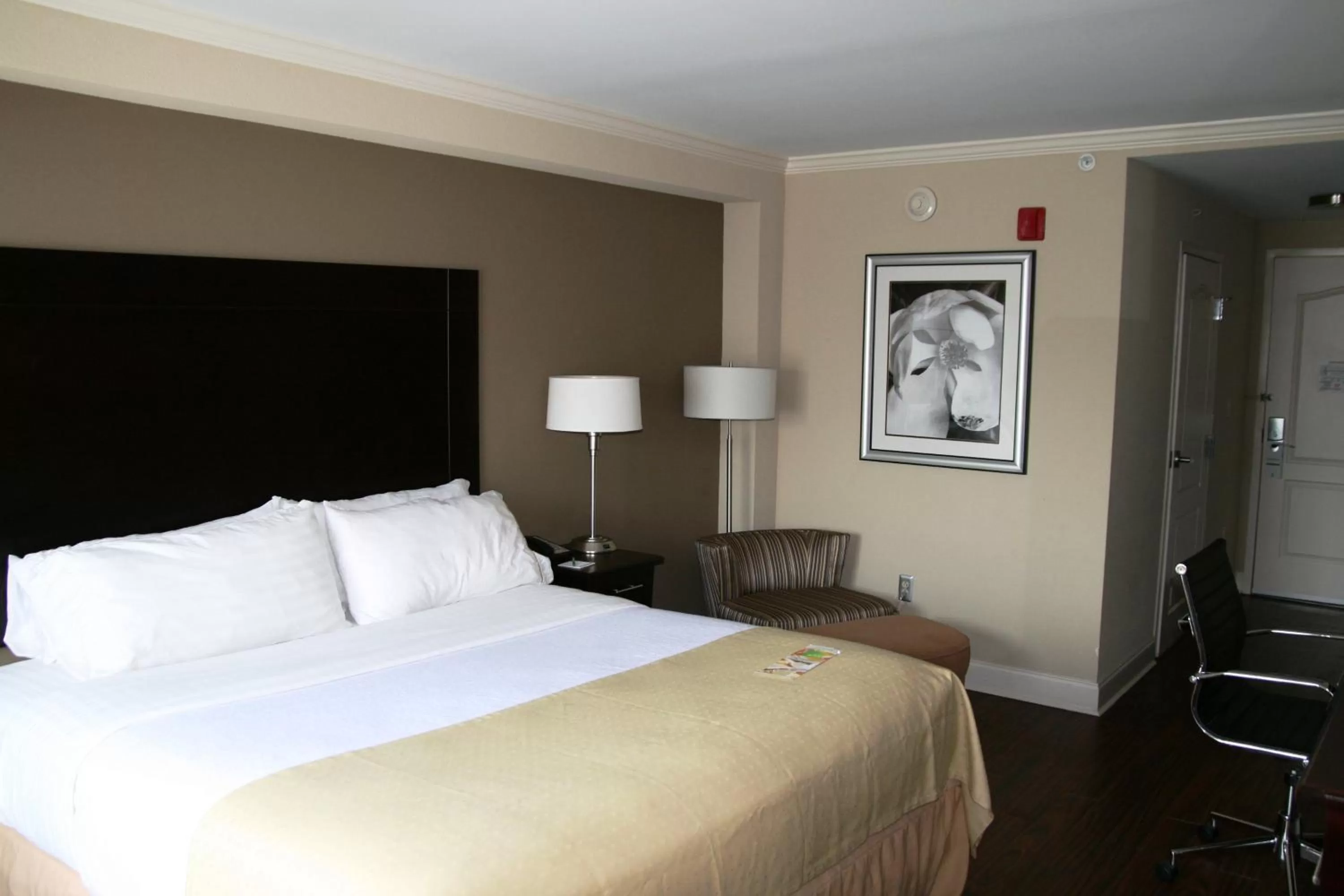 Deluxe King Room in Holiday Inn Macon North by IHG