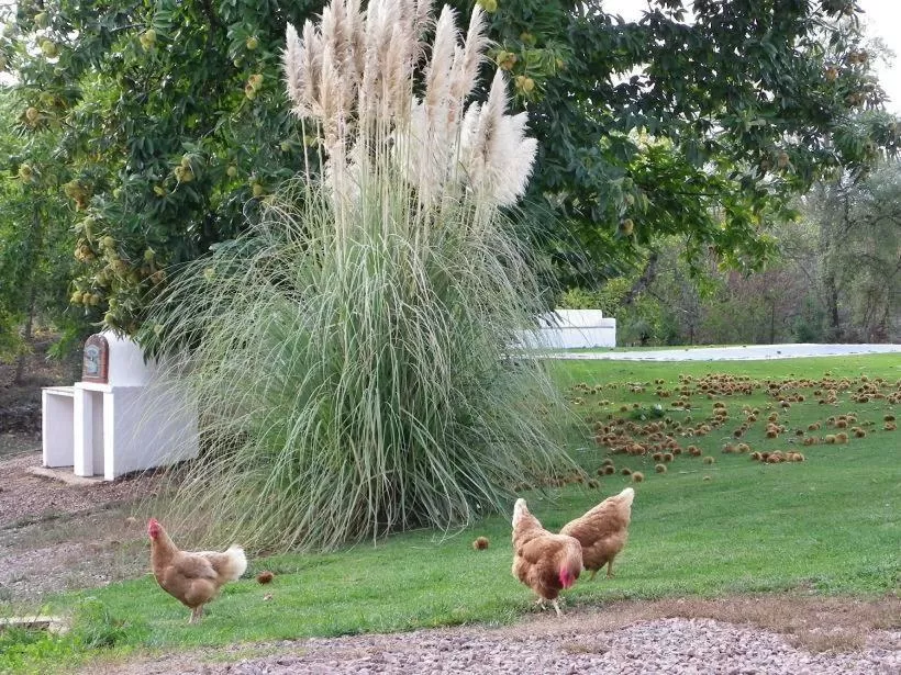 Day in Hotel Apartamento Rural Finca La Media Legua