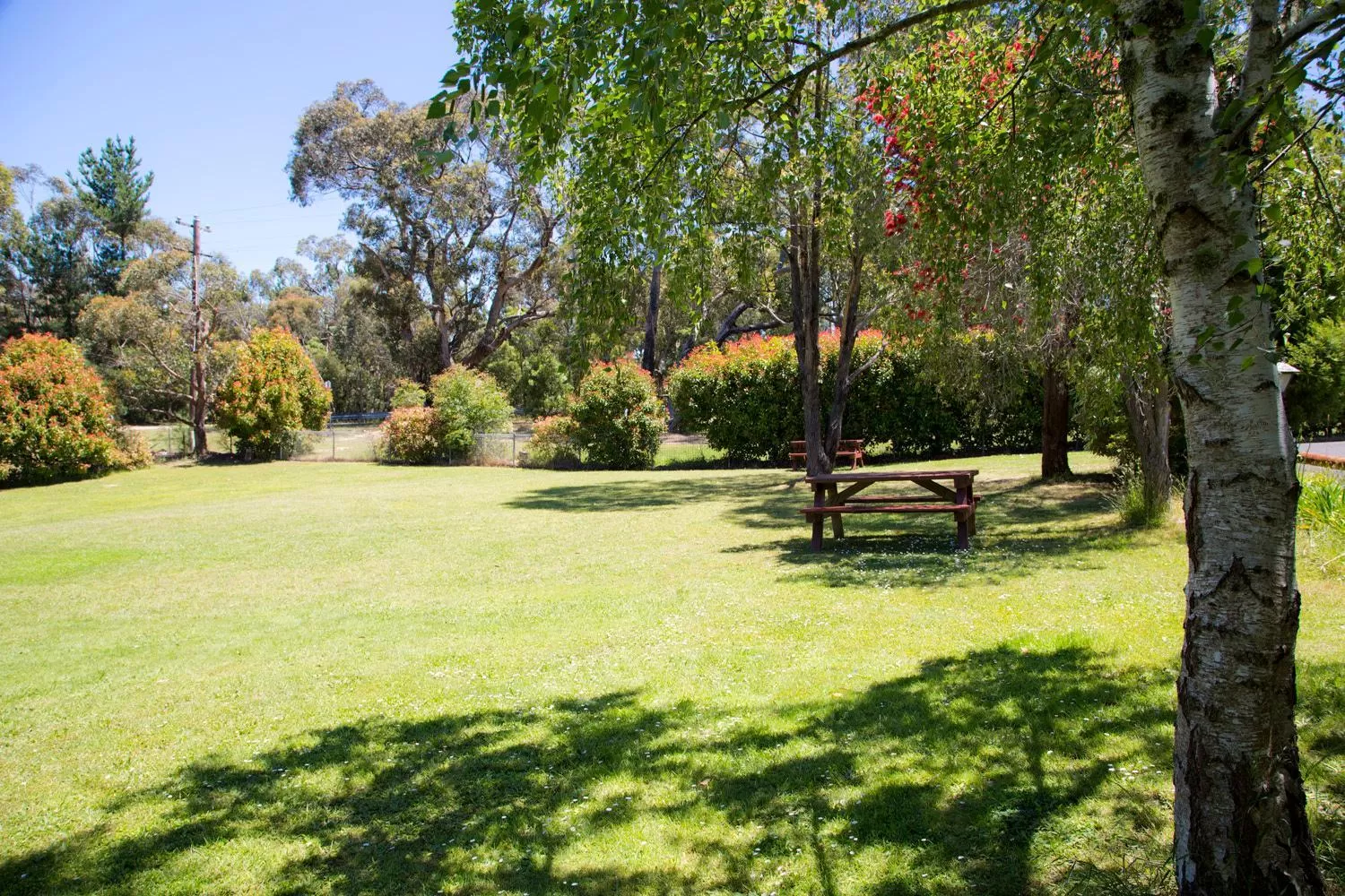 Day in Black Forest Motel