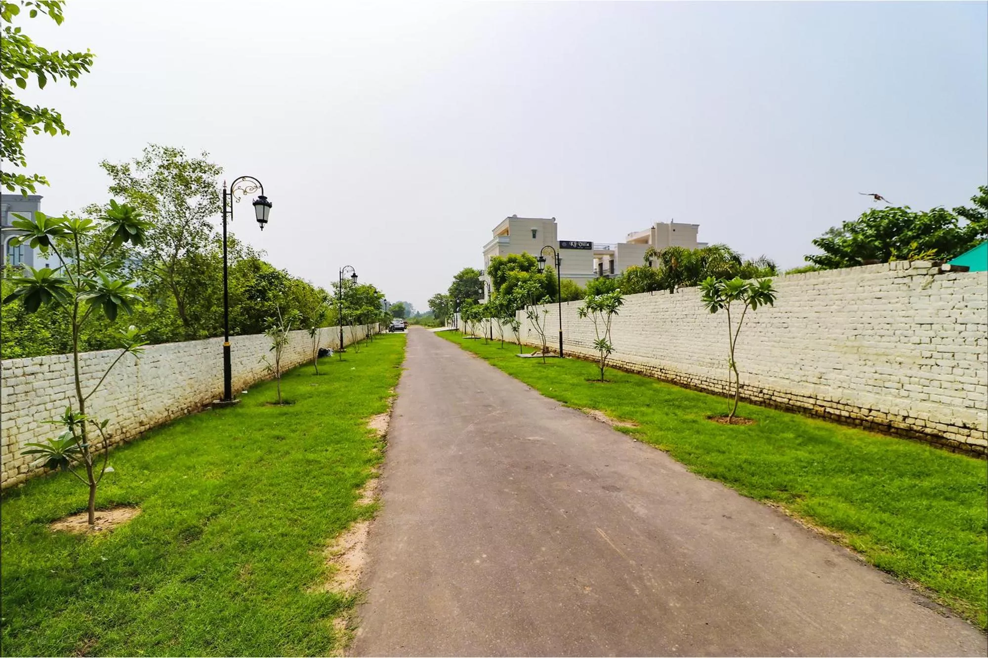 Garden in FabHotel K9 Villa