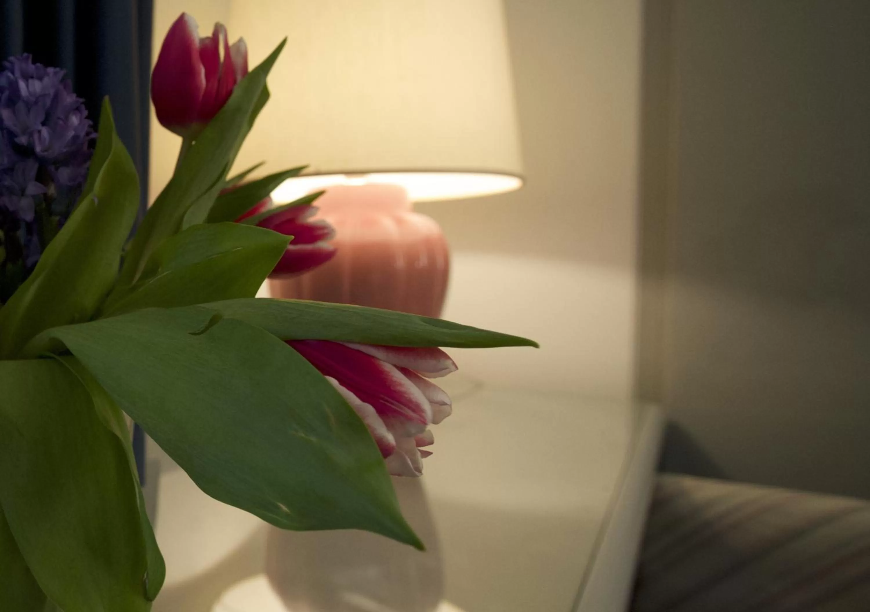 Decorative detail in Club Hotel