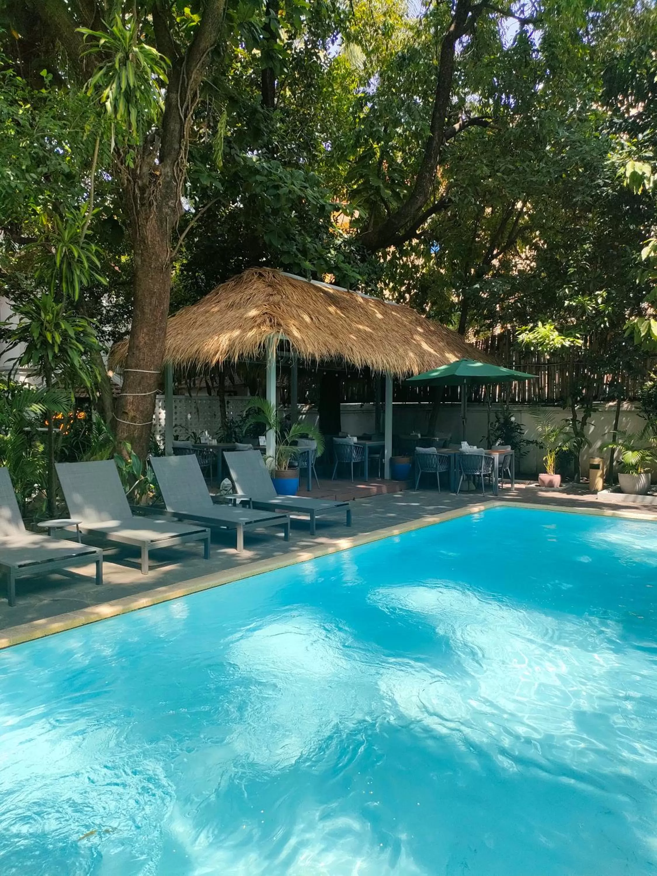 Swimming pool in Jungle Addition