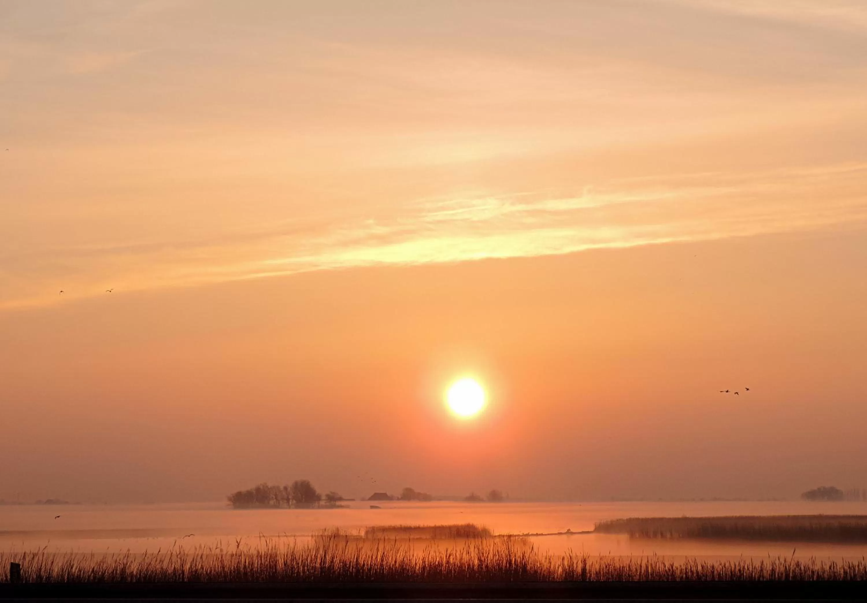 Natural landscape in Boutique Hotel De Eilanden