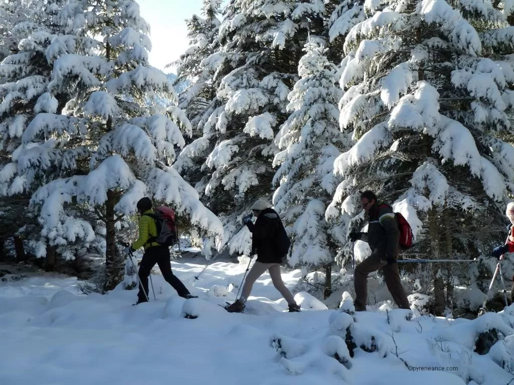 Other in Hôtel Saint Vincent