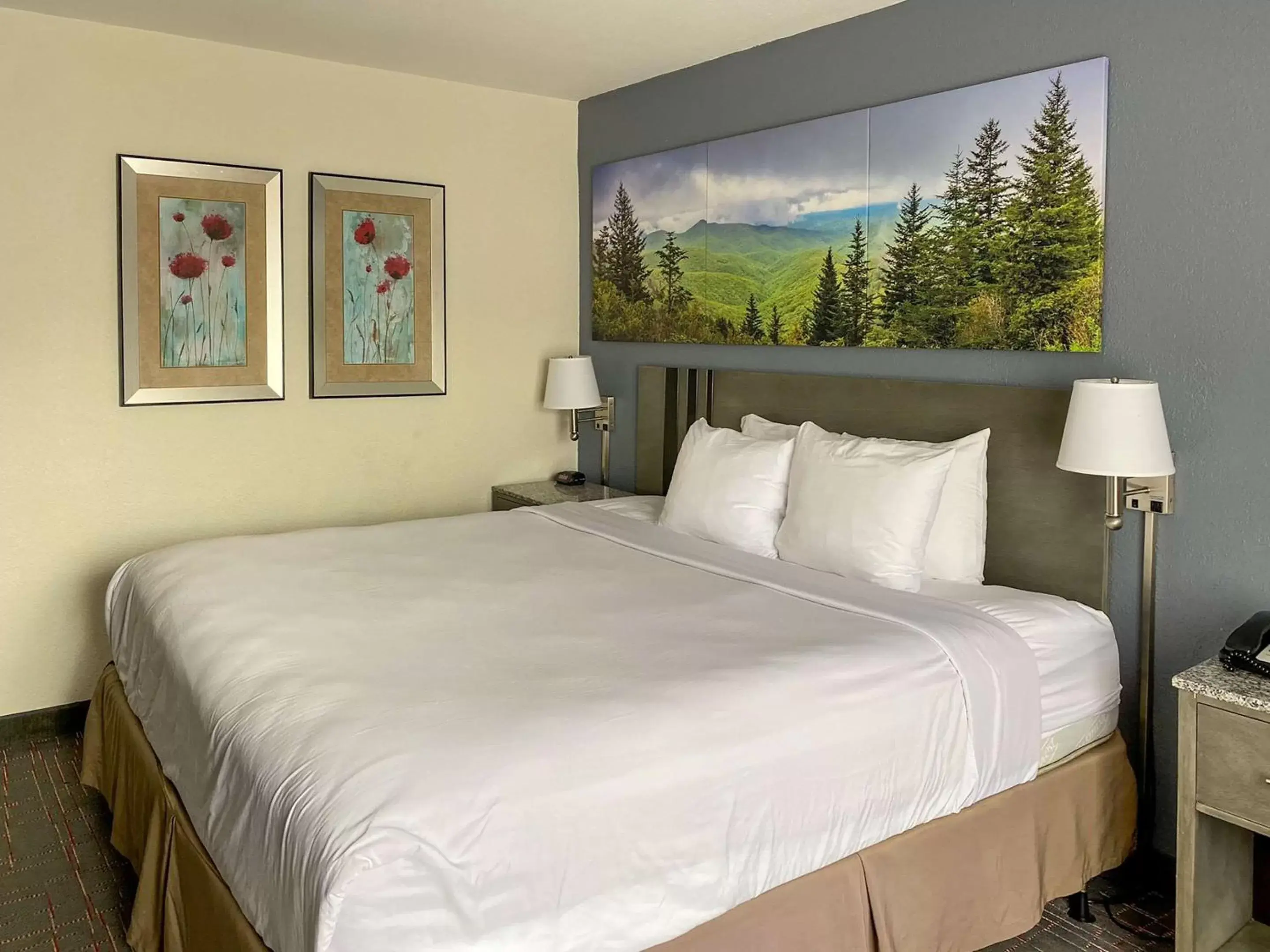 Business King - Non Smoking in Clarion Pointe - Greensboro Coliseum Area Business King - Non Smoking in Clarion Pointe - Greensboro Coliseum Area