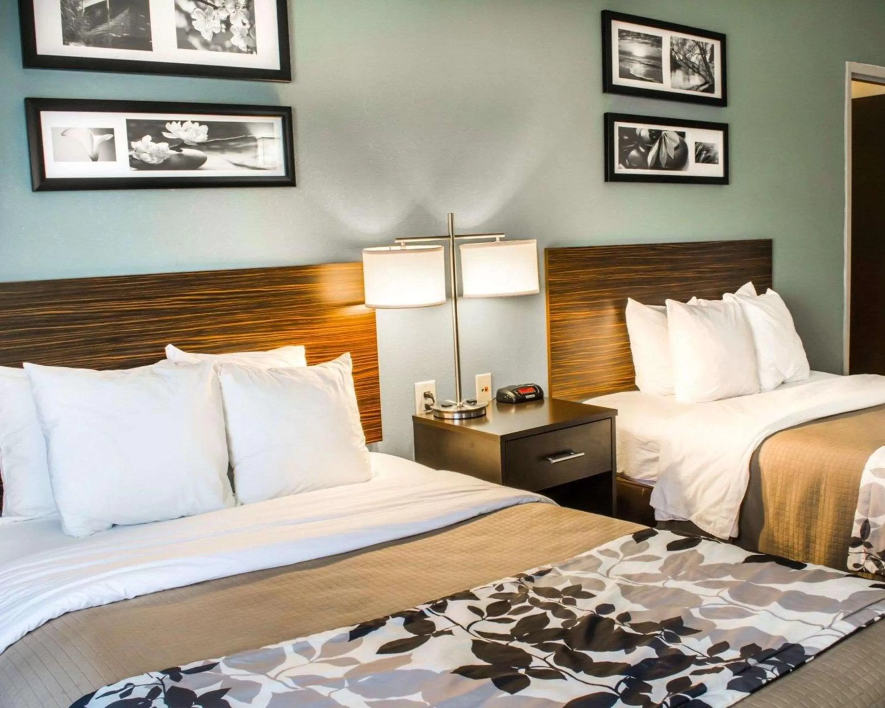 Photo of the whole room, Bed in Sleep Inn & Suites Monticello