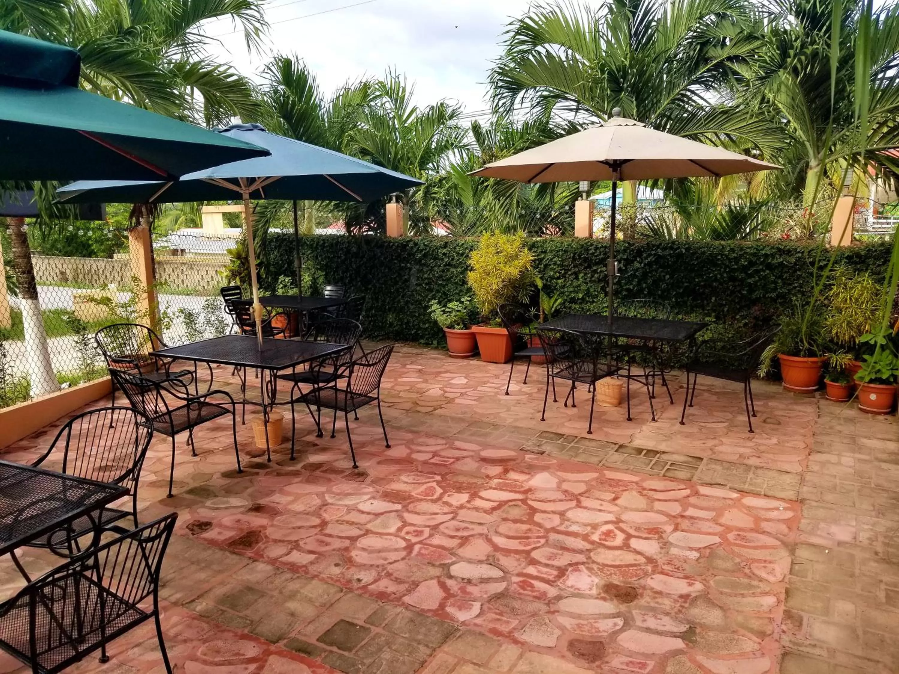 Garden in Rolson Hotel