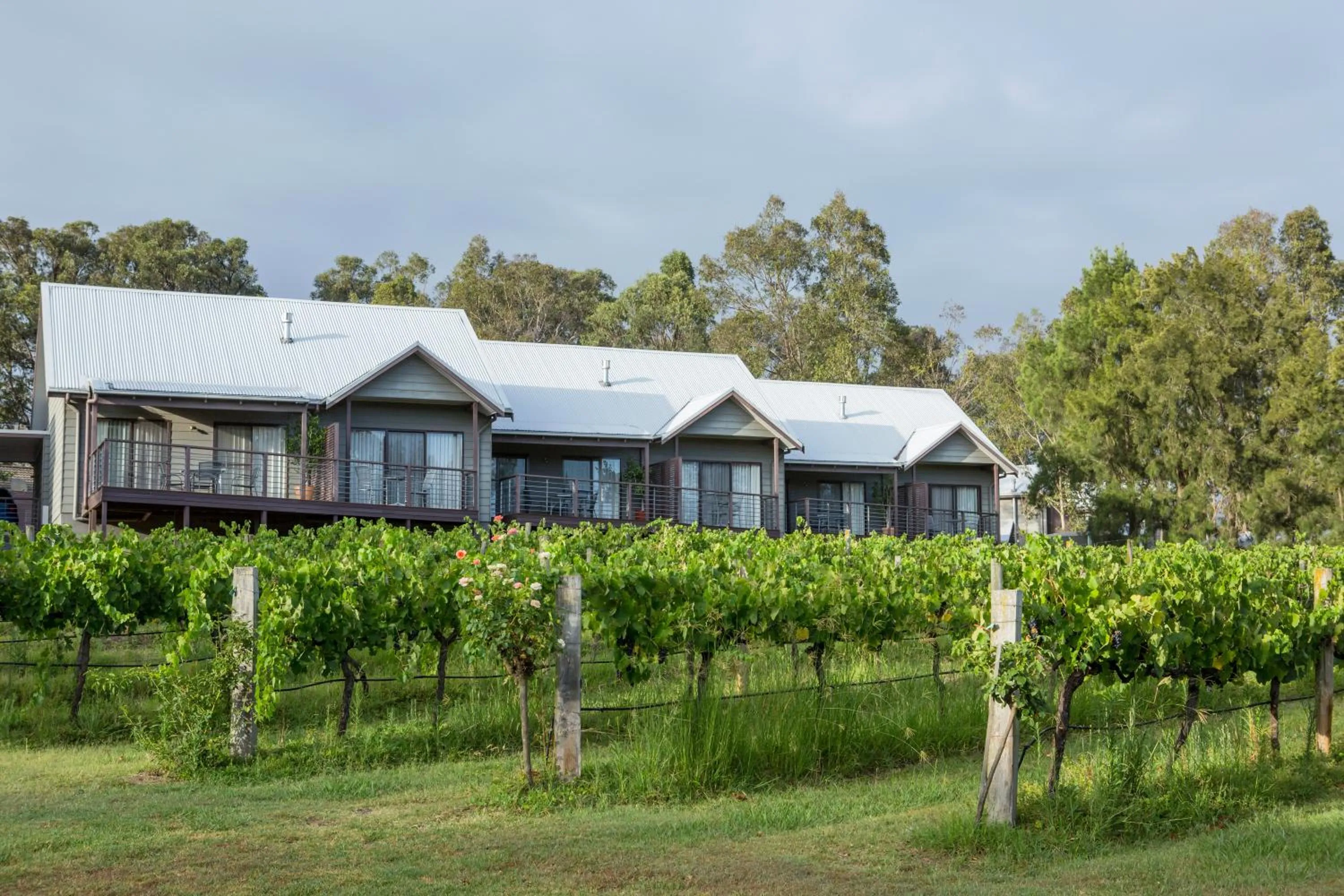 Natural landscape in Hermitage Lodge