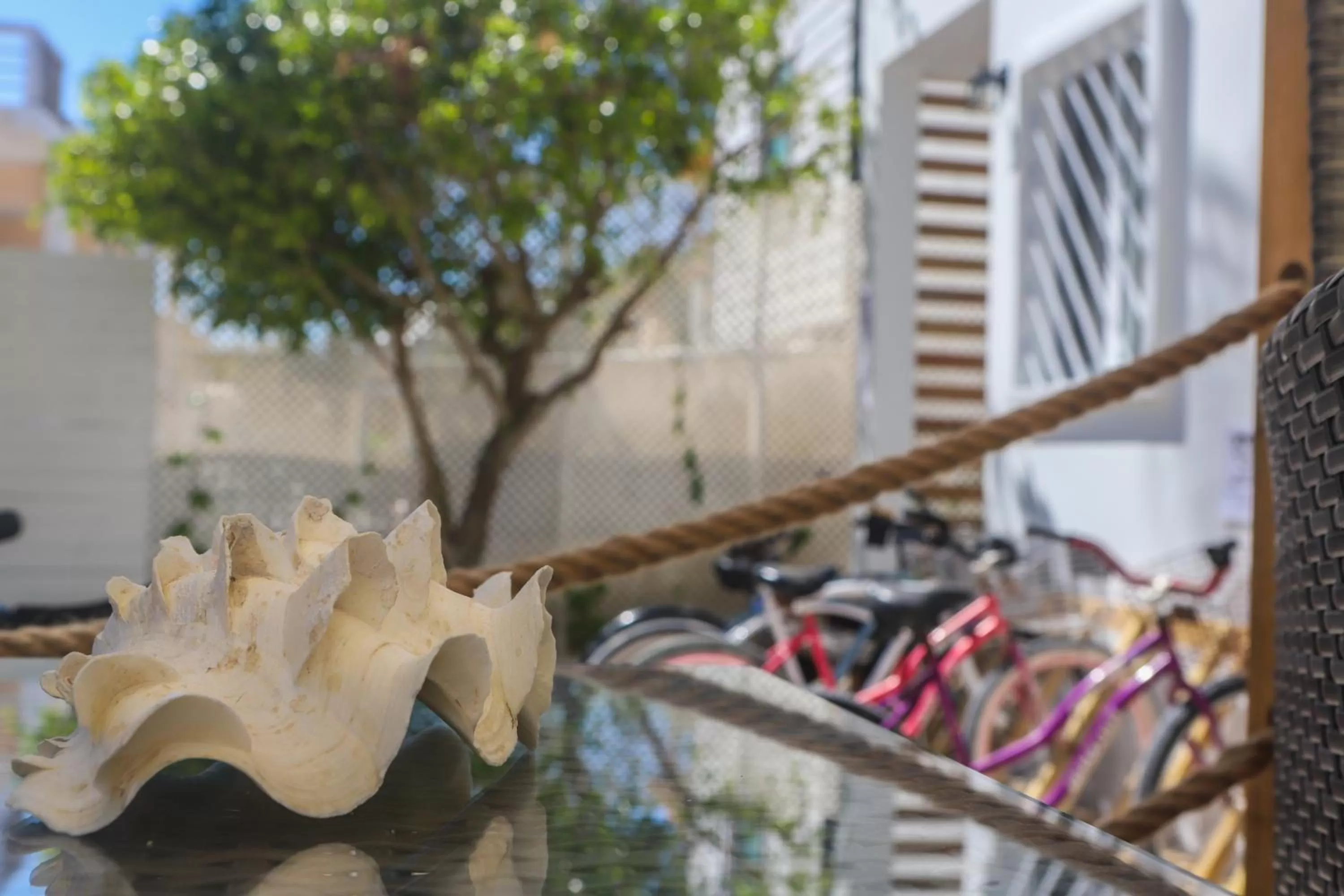 Patio in Treetops Hotel