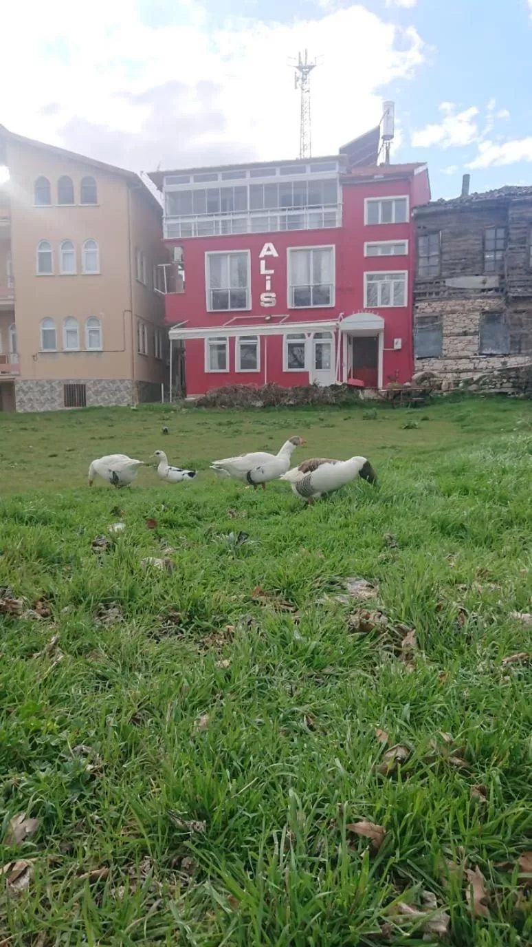 Property Building in Ali's Pension