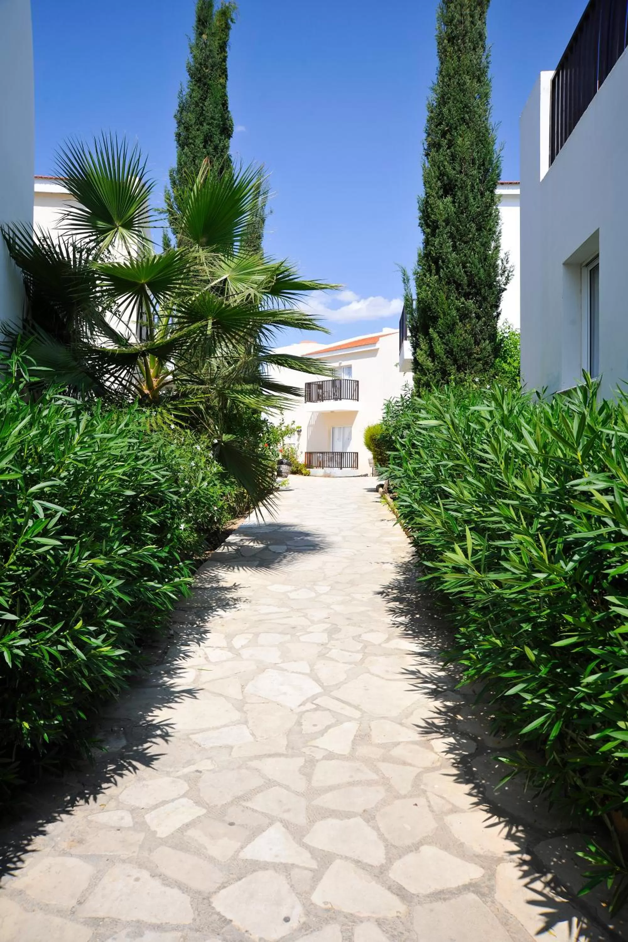 Garden in Akti Beach Hotel & Village Resort