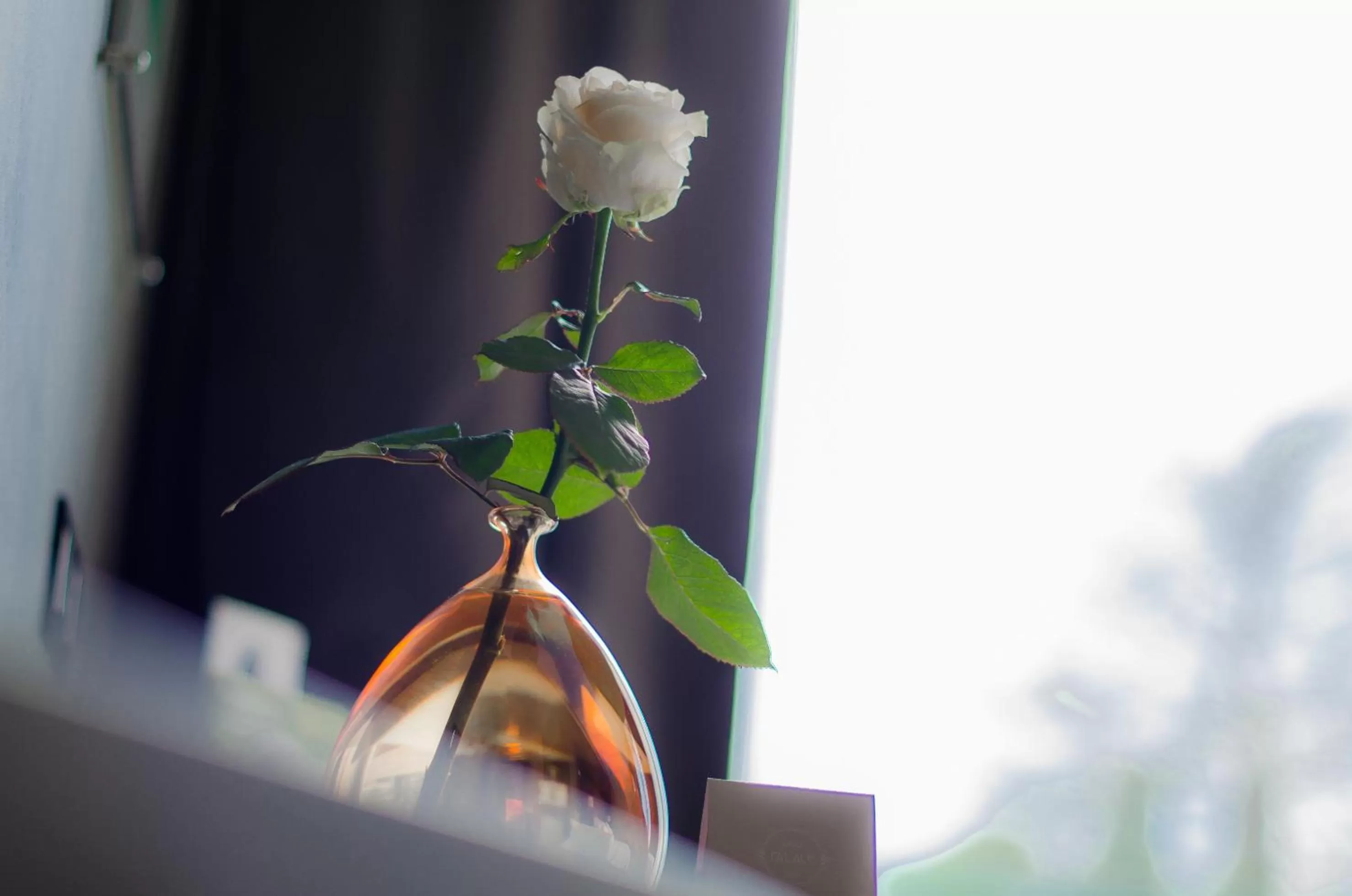 Decorative detail in Lido Palace - The Leading Hotels of the World