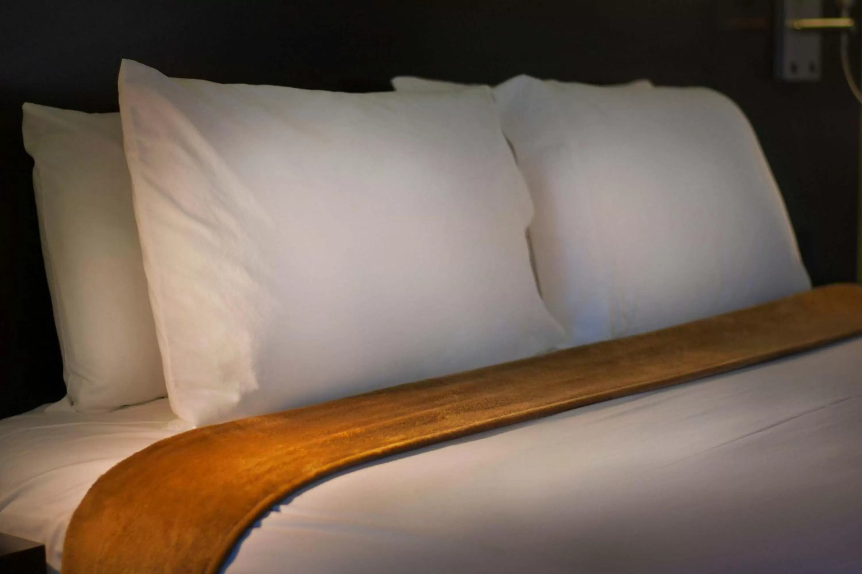 Bed in Foothills Motel