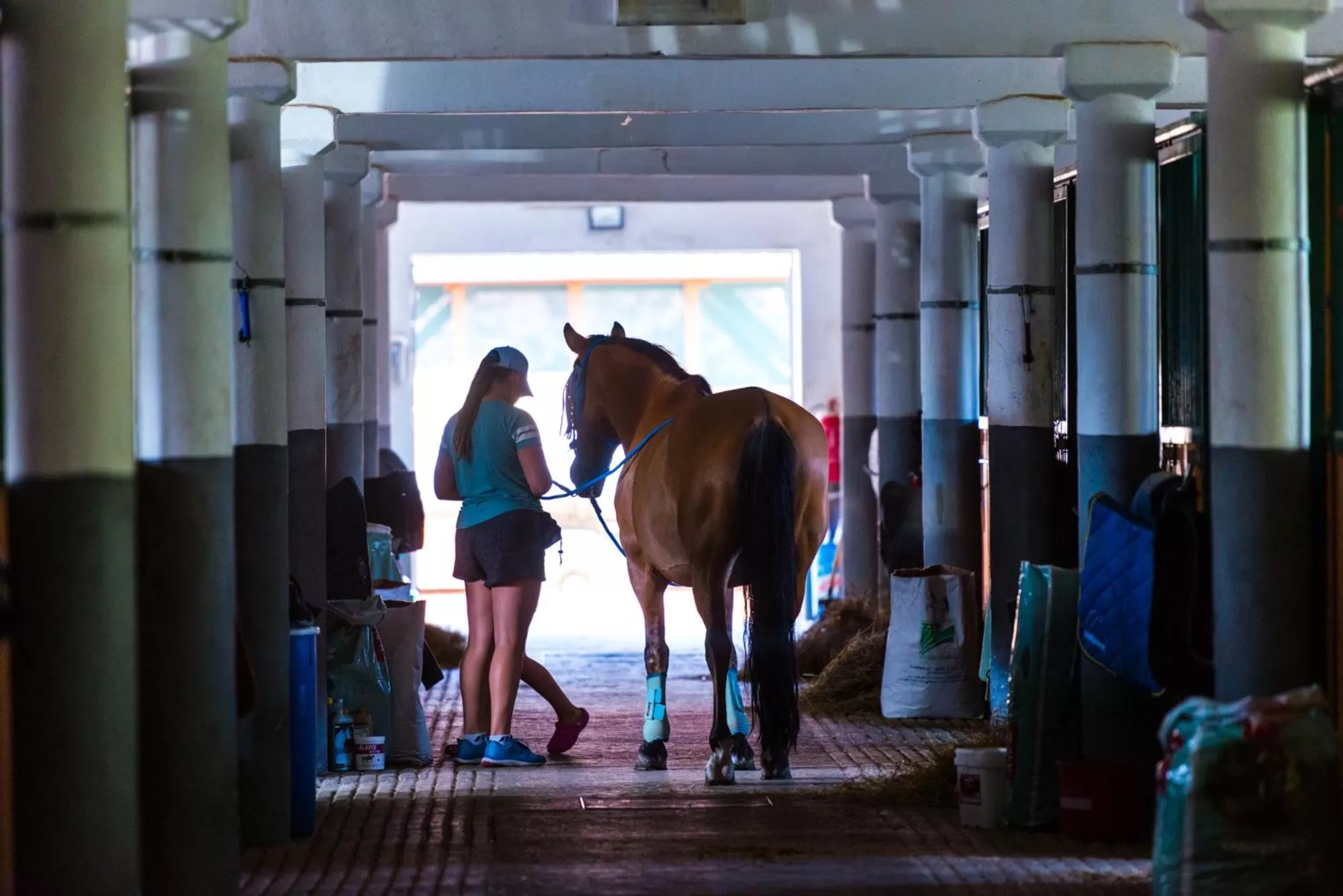 Horse-riding in Equitana Hotel Resort
