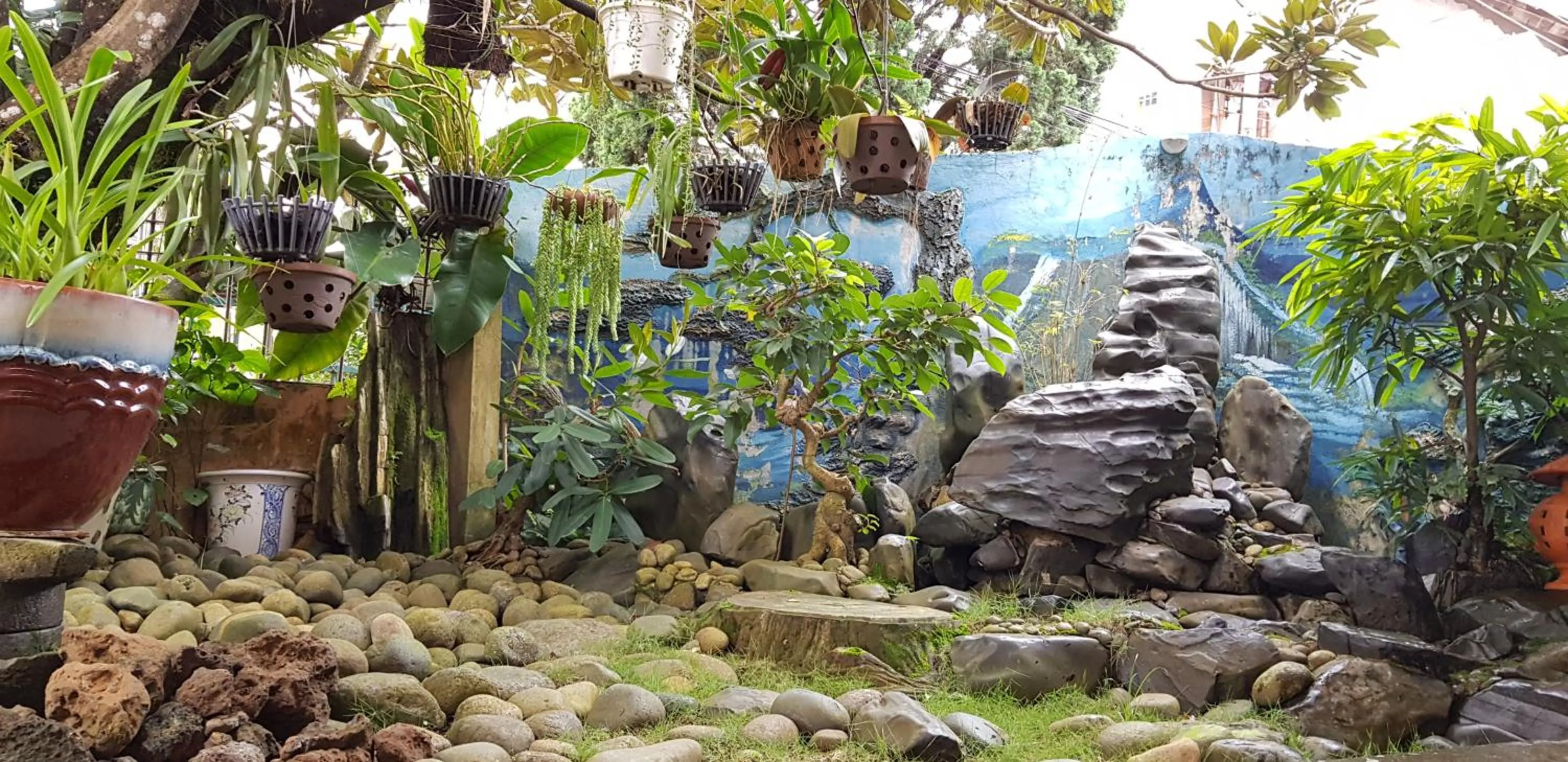 Garden in Villa Pink House