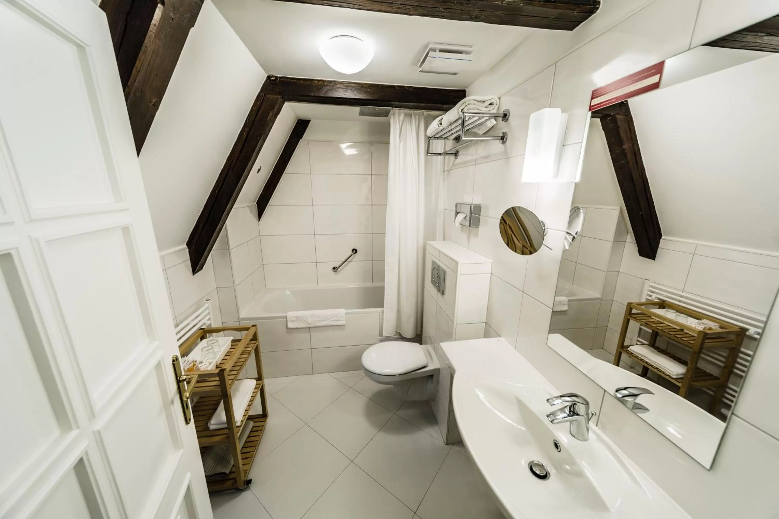 Archibald At the Charles Bridge