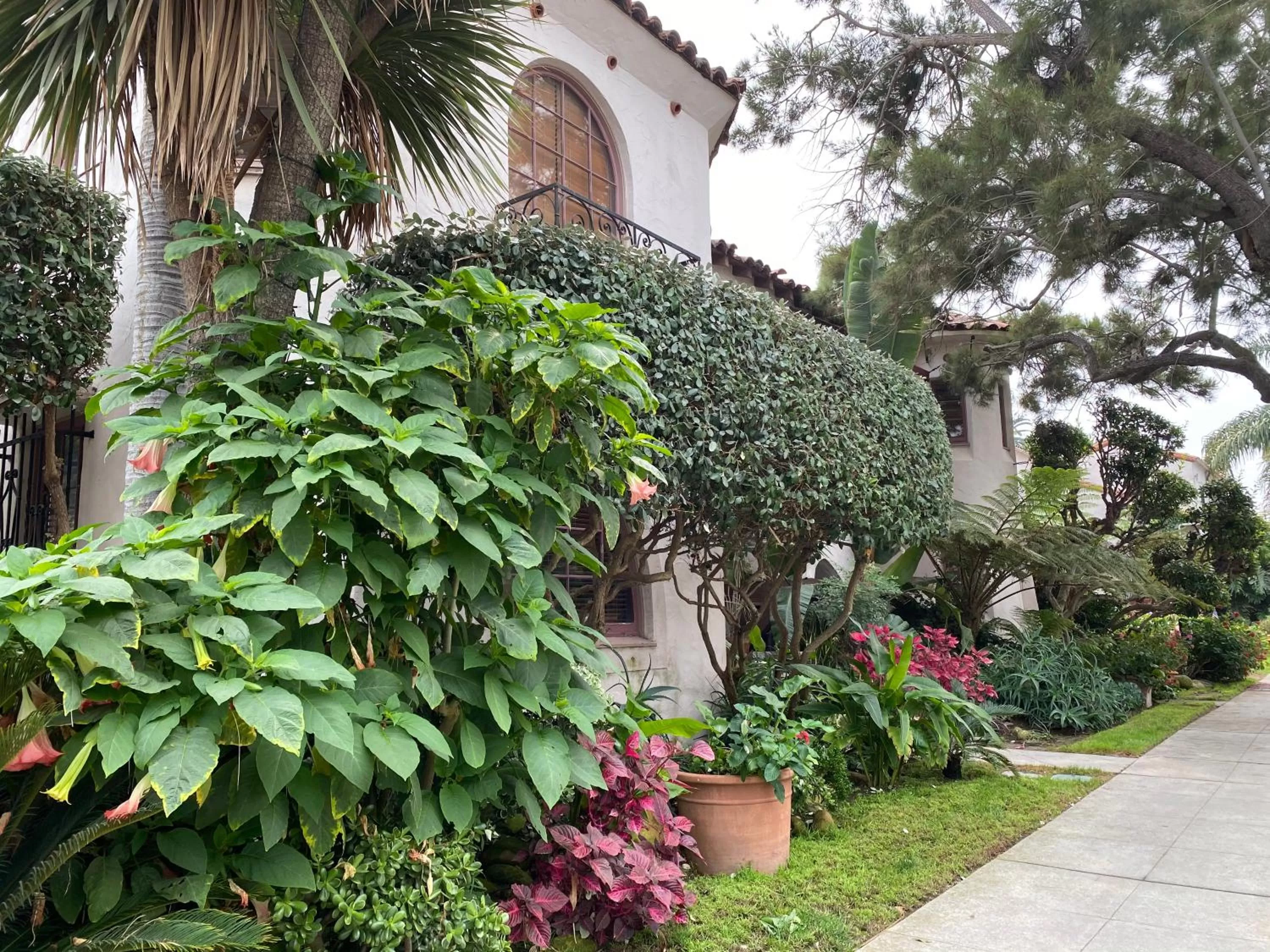 Deluxe King Suite in Villa Rosa Inn