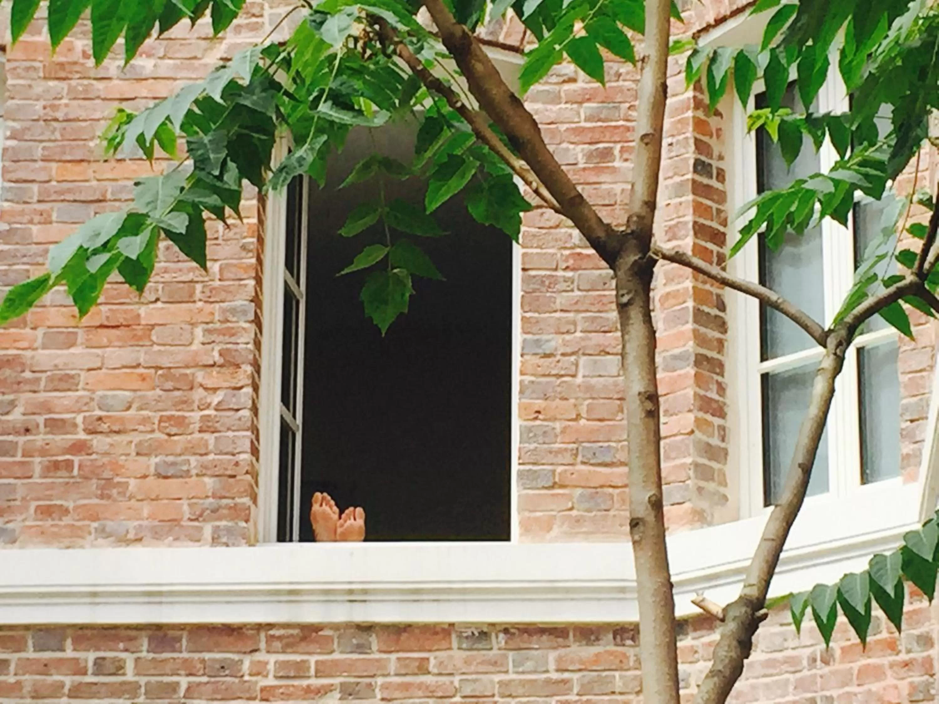 Patio in Le Pavillon Hotel