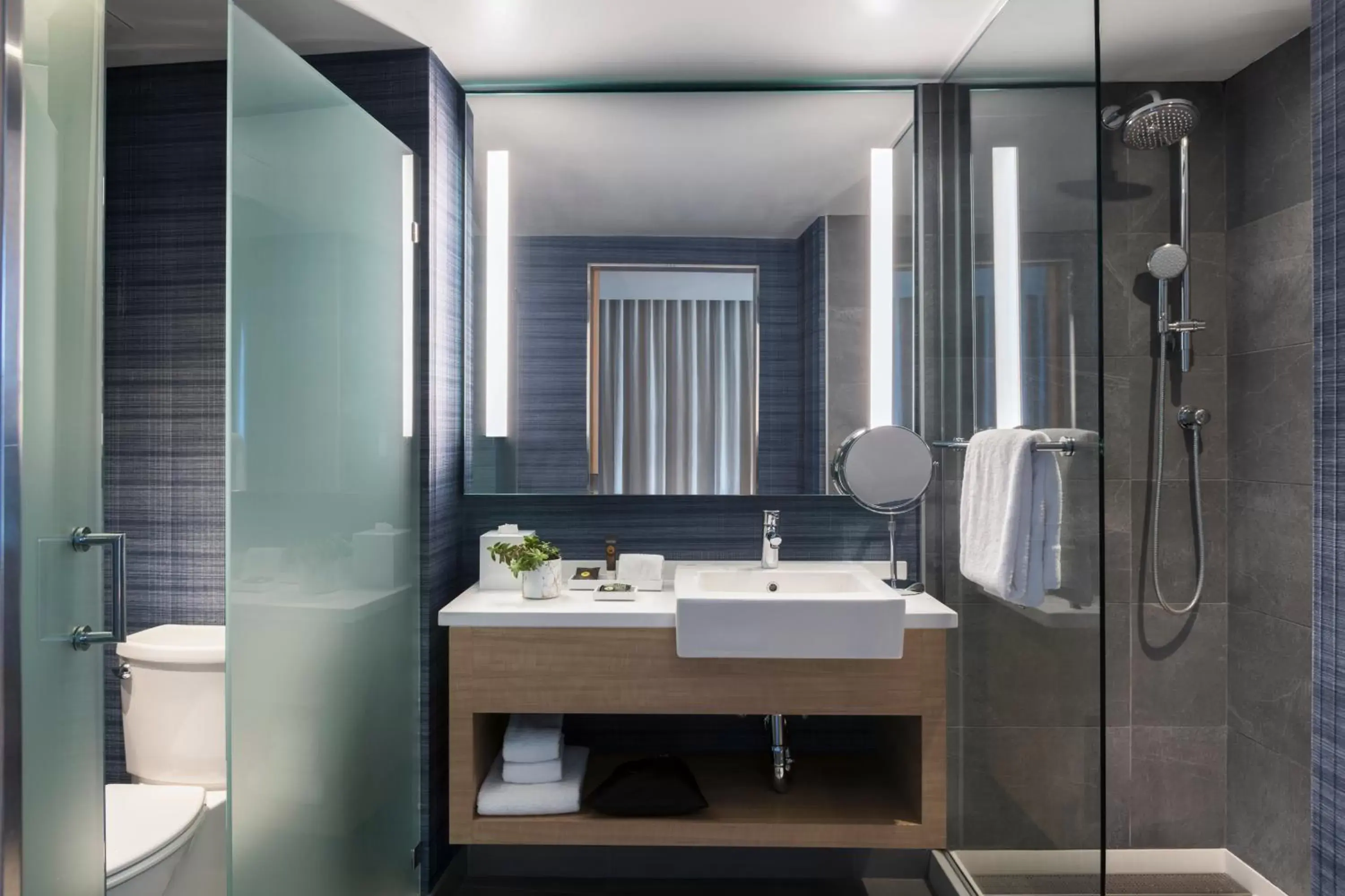 Superior King Room with Roll-In Shower City and Park View - Mobility Accessible in Novotel Miami Brickell Superior King Room with Roll-In Shower City and Park View - Mobility Accessible in Novotel Miami Brickell