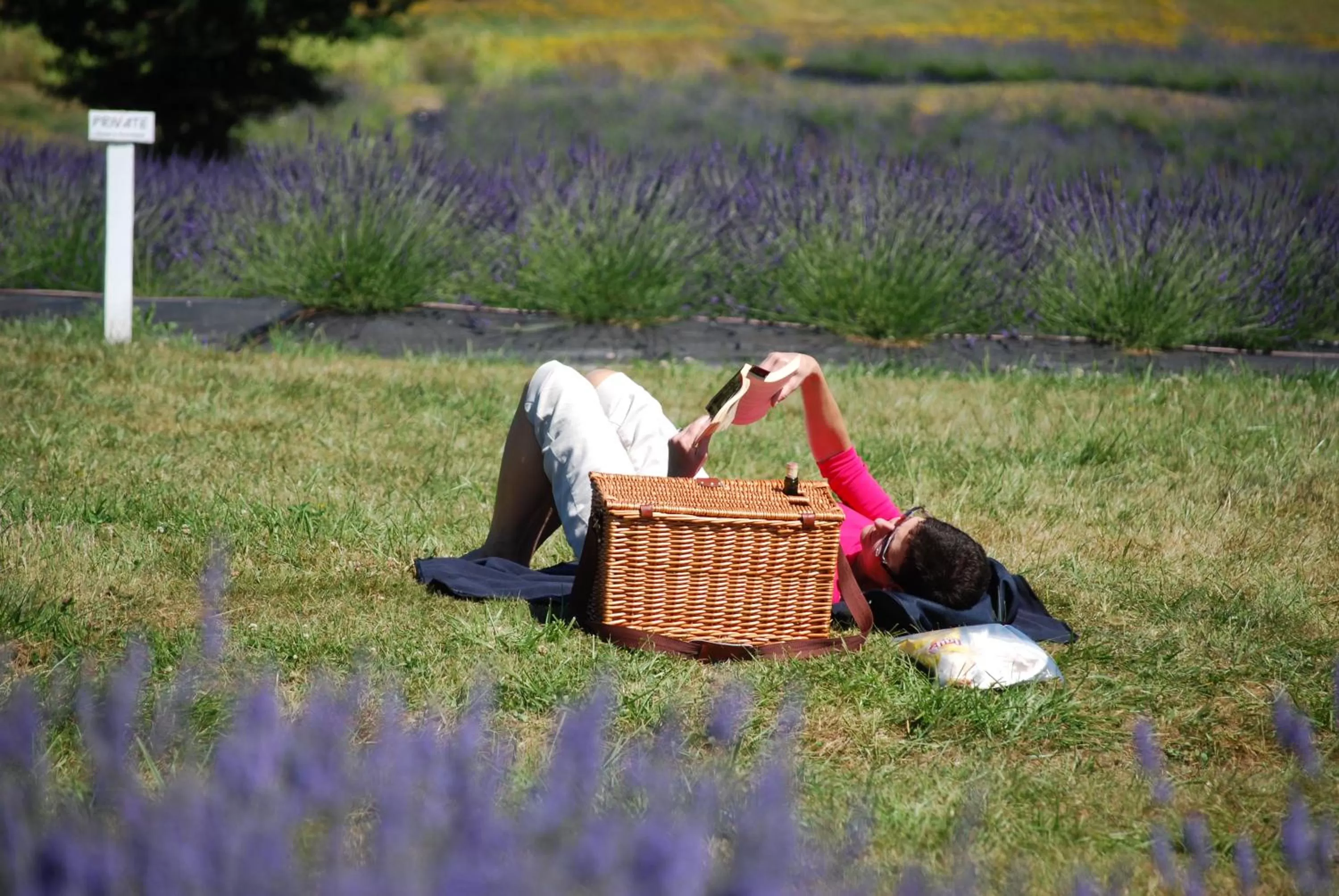 Natural landscape in Bird Rock Hotel