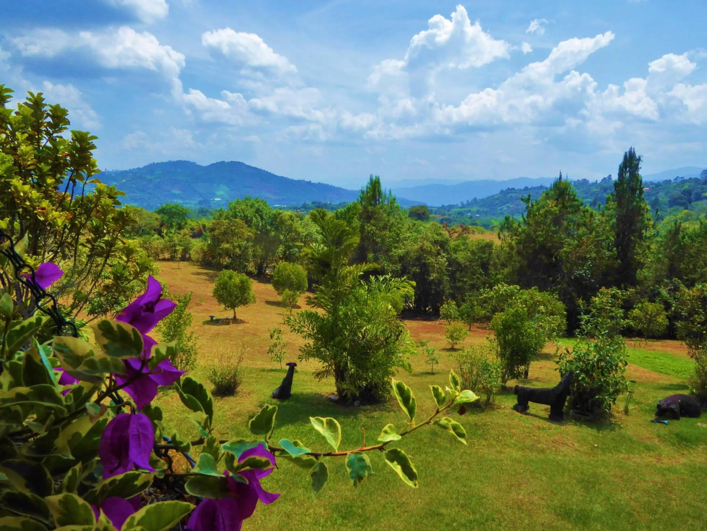 Garden in Finca El Cielo