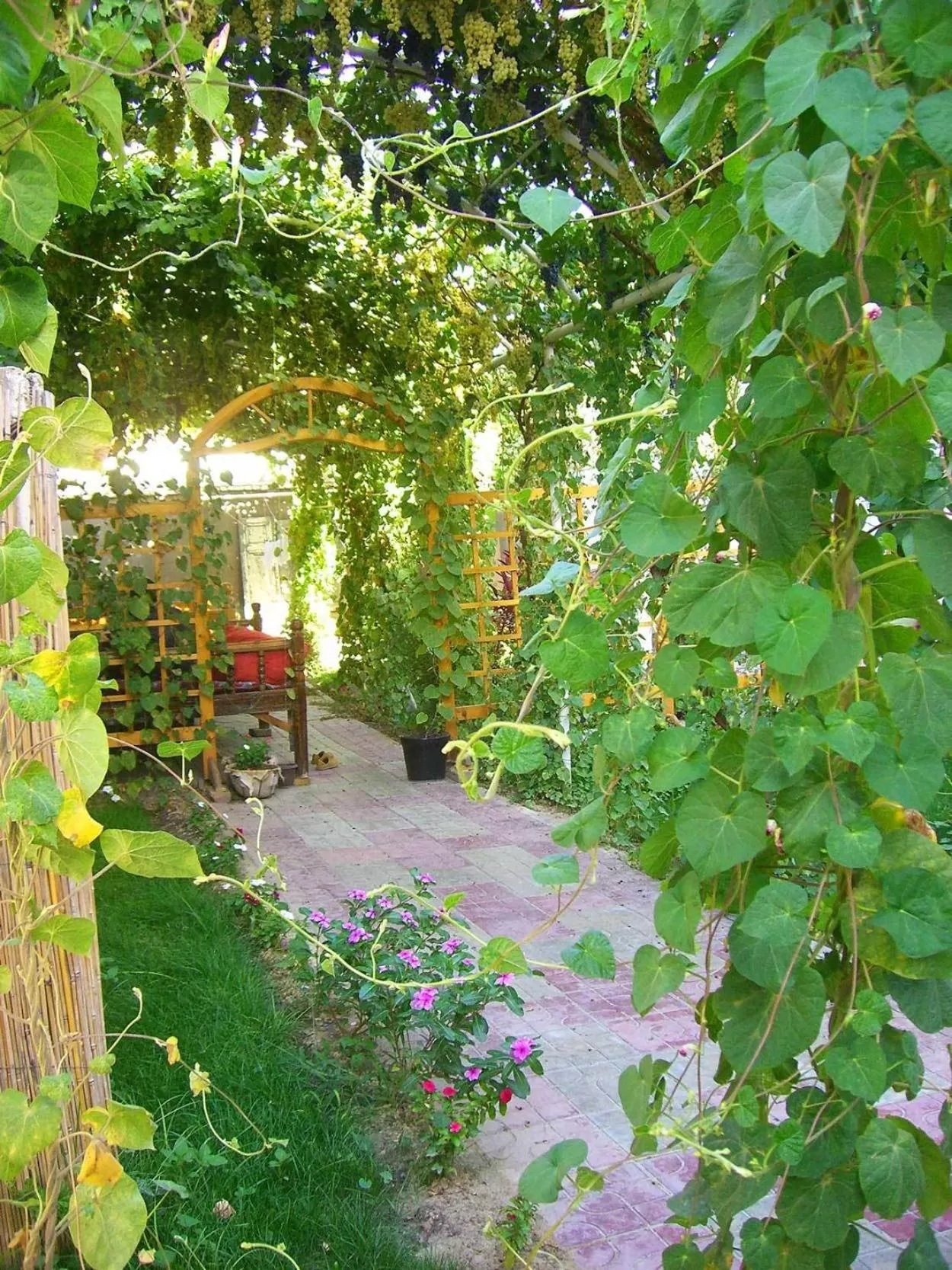 Patio, Garden in Jahongir Guest House