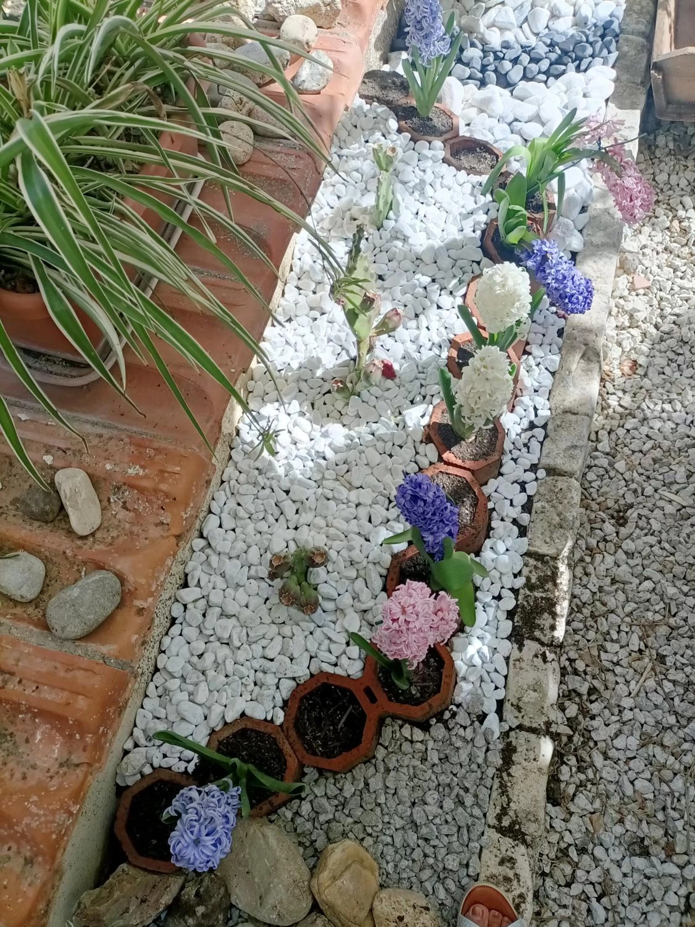 Garden in La Casa In Pietra