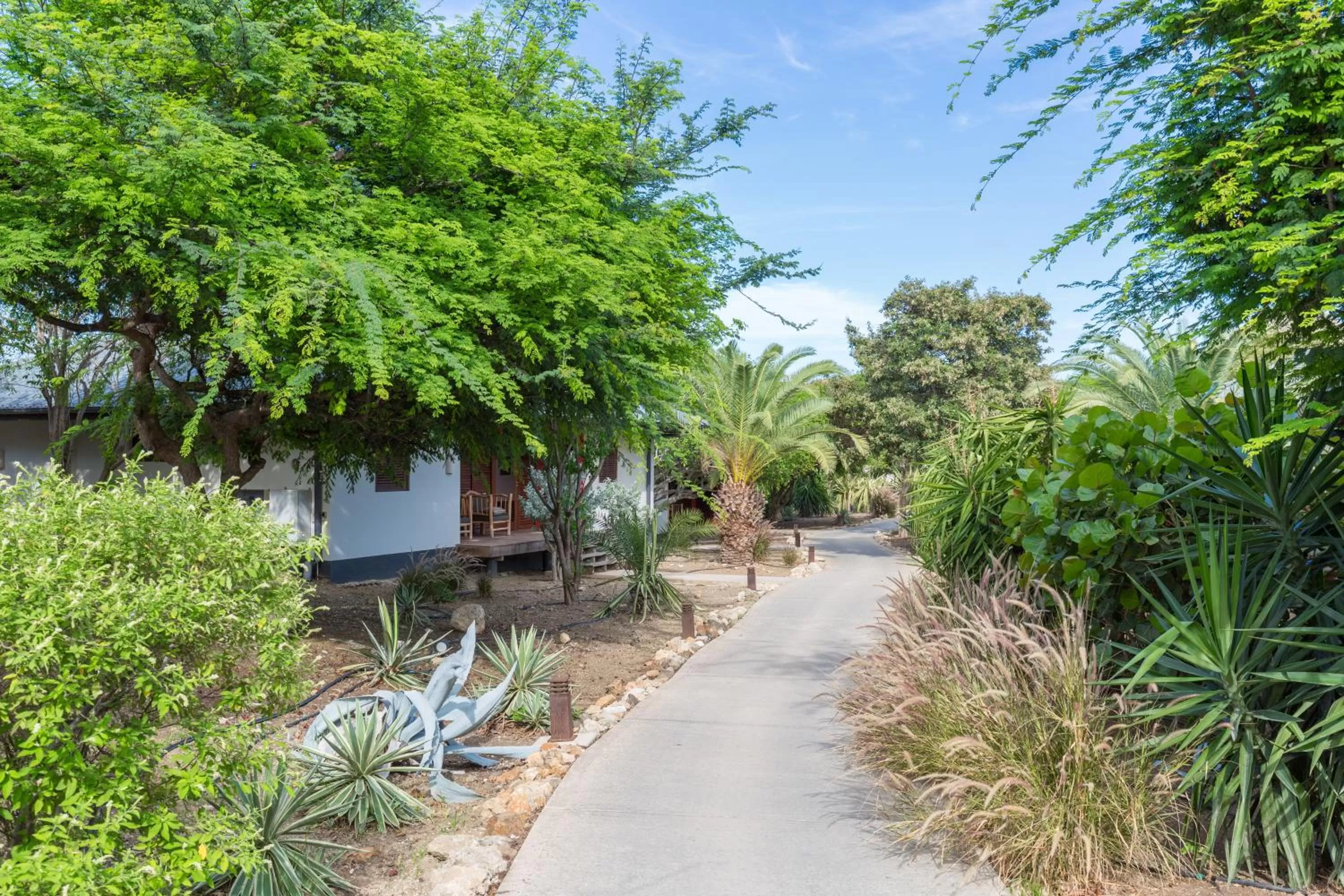 Natural landscape in Morena Resort