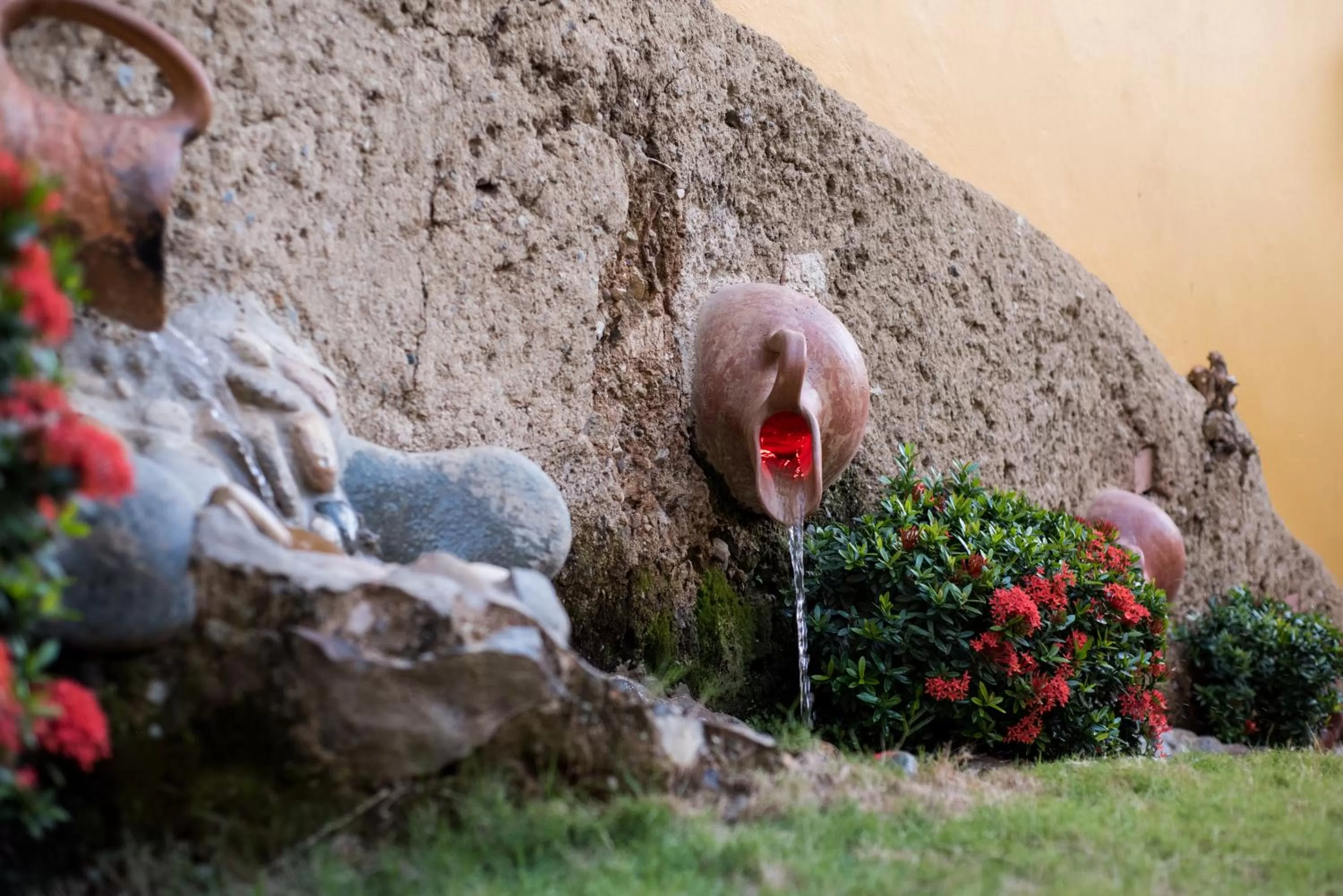 Garden, Other Animals in Nueva Granada Hotel Colonial -Centro Histórico-