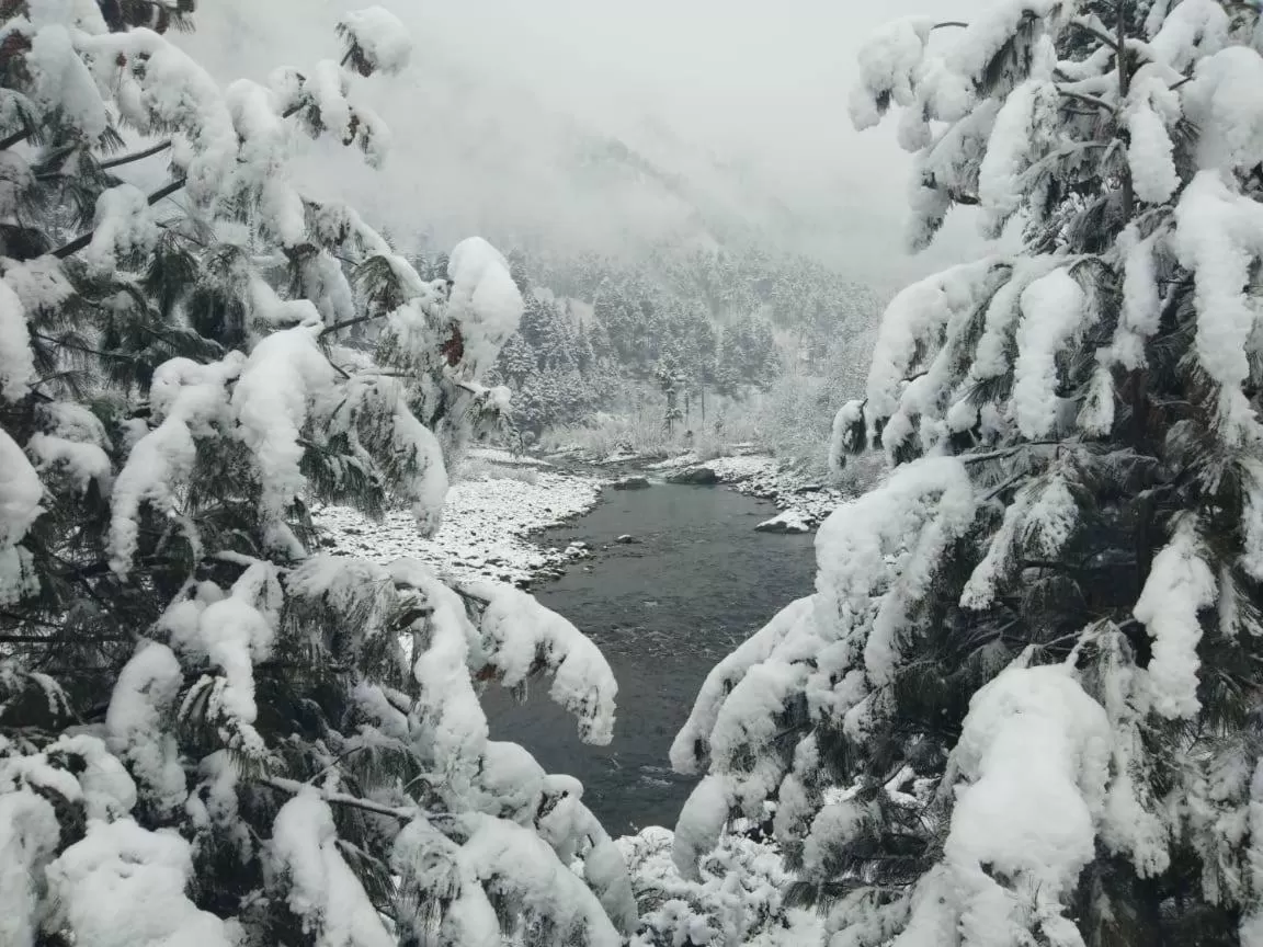 Walisons Peace Resort