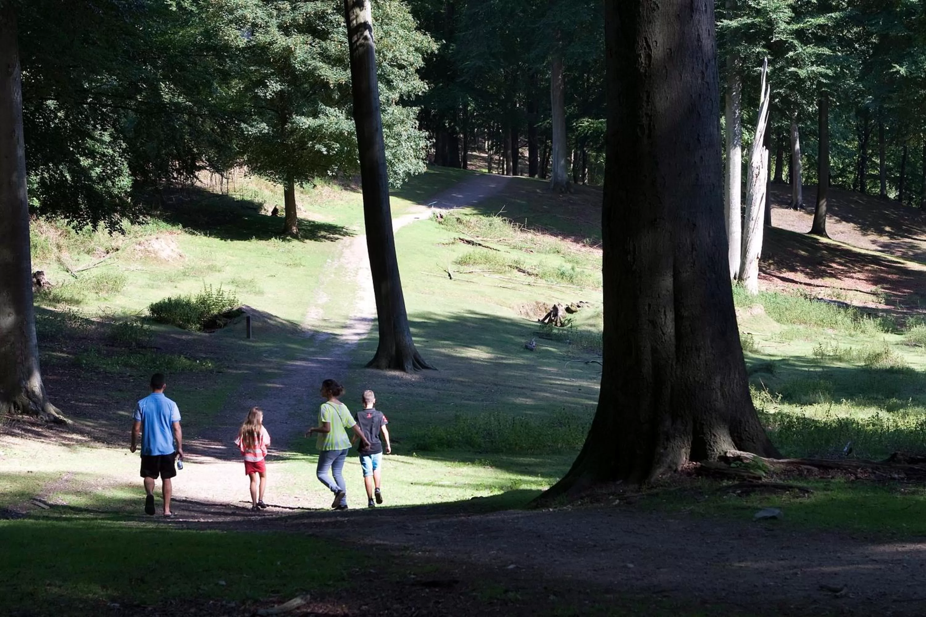 Area and facilities, Golf in Hotel Hedegaarden