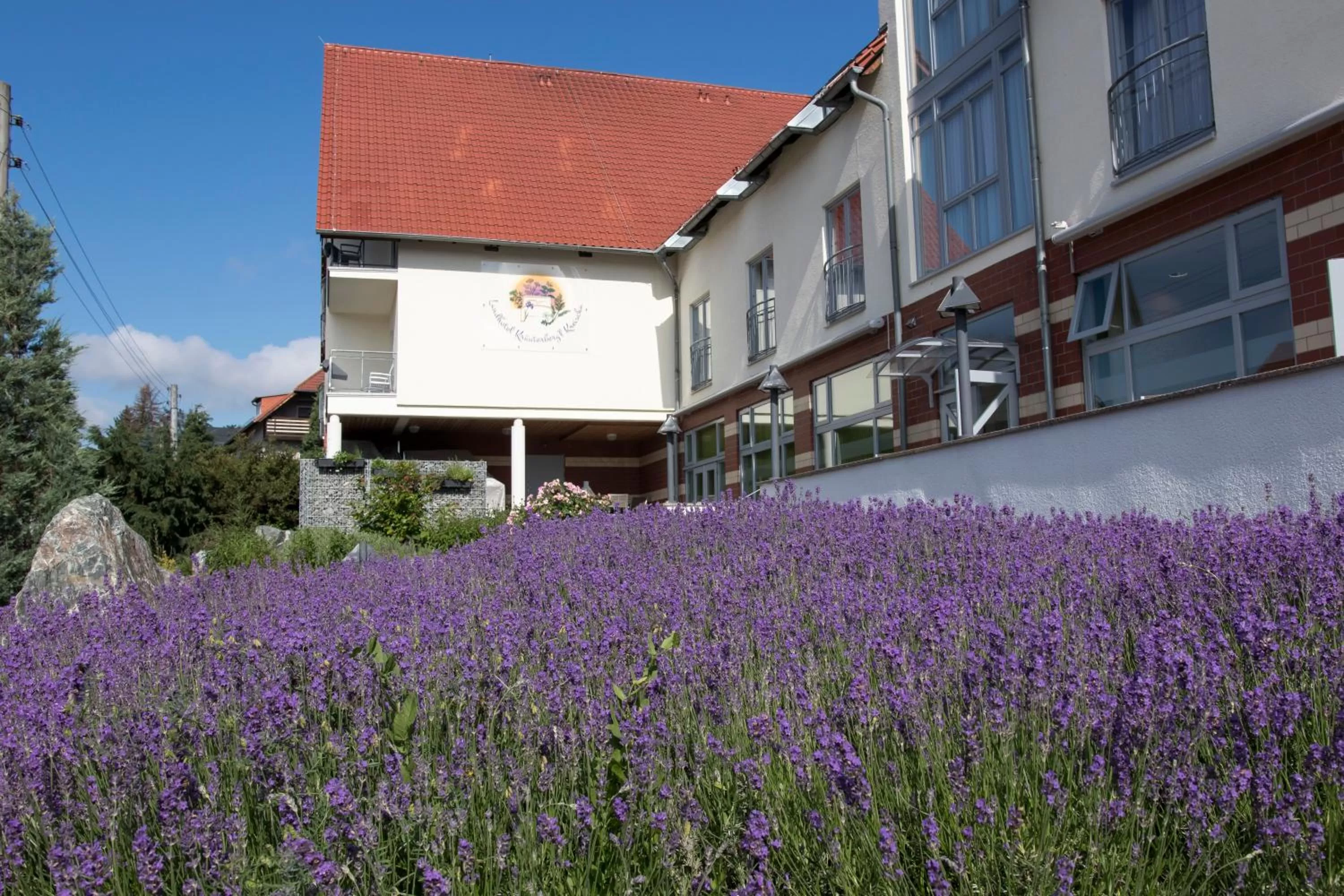 Facade/entrance, Property Building in Landhotel Kräuterbergl Kreischa