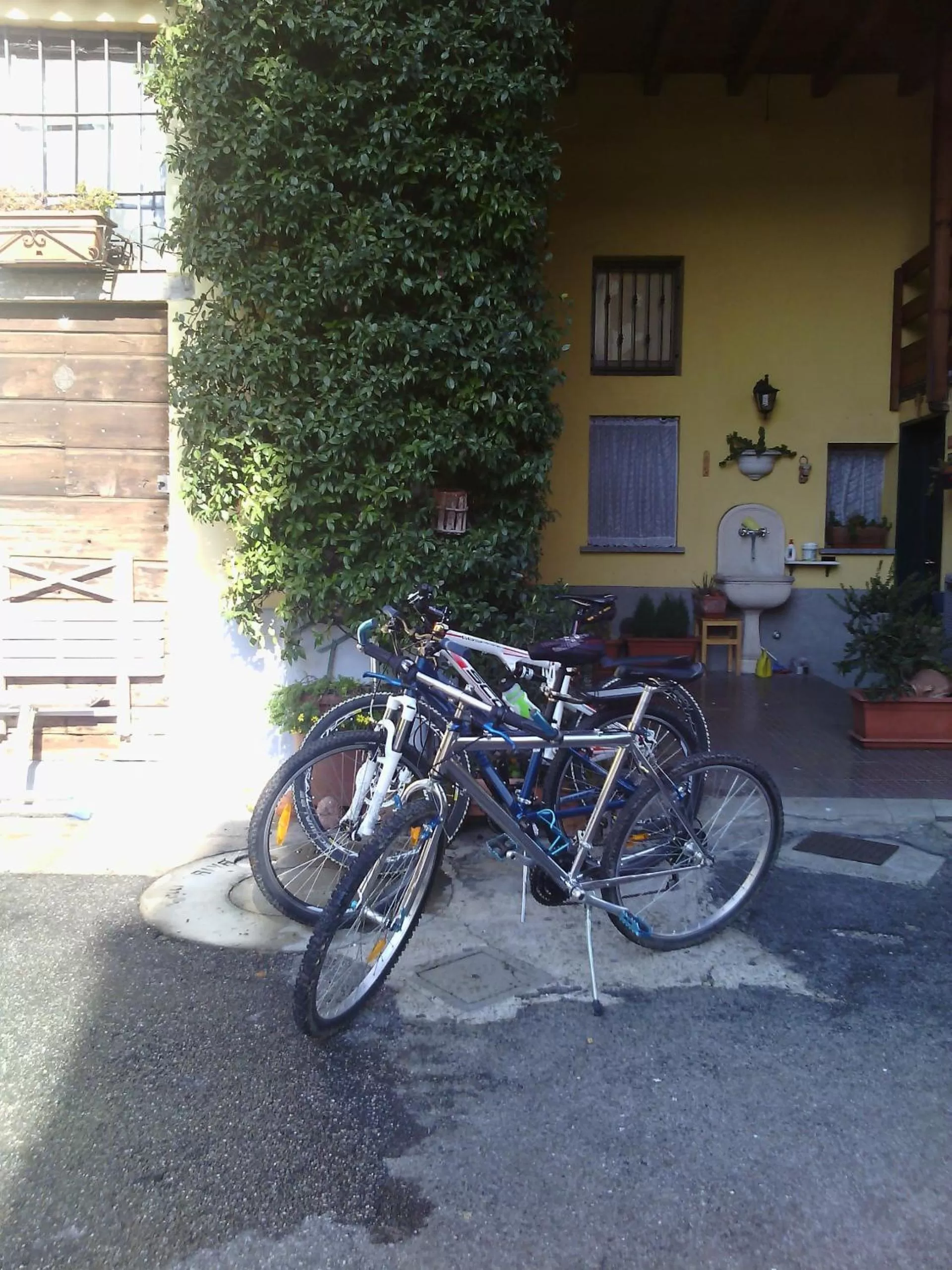 Activities in B&b Rosy