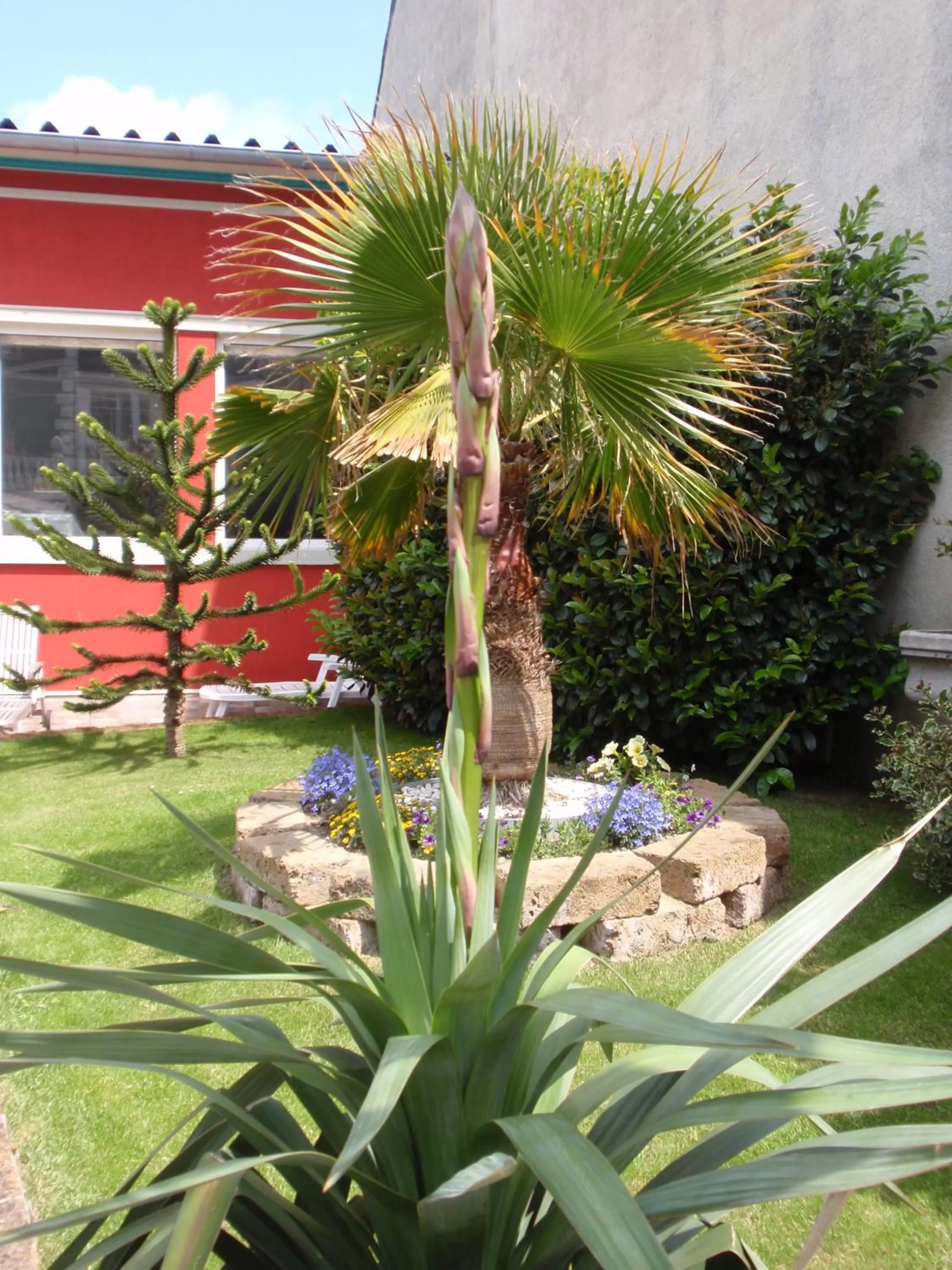 Garden in Villa-Angelina