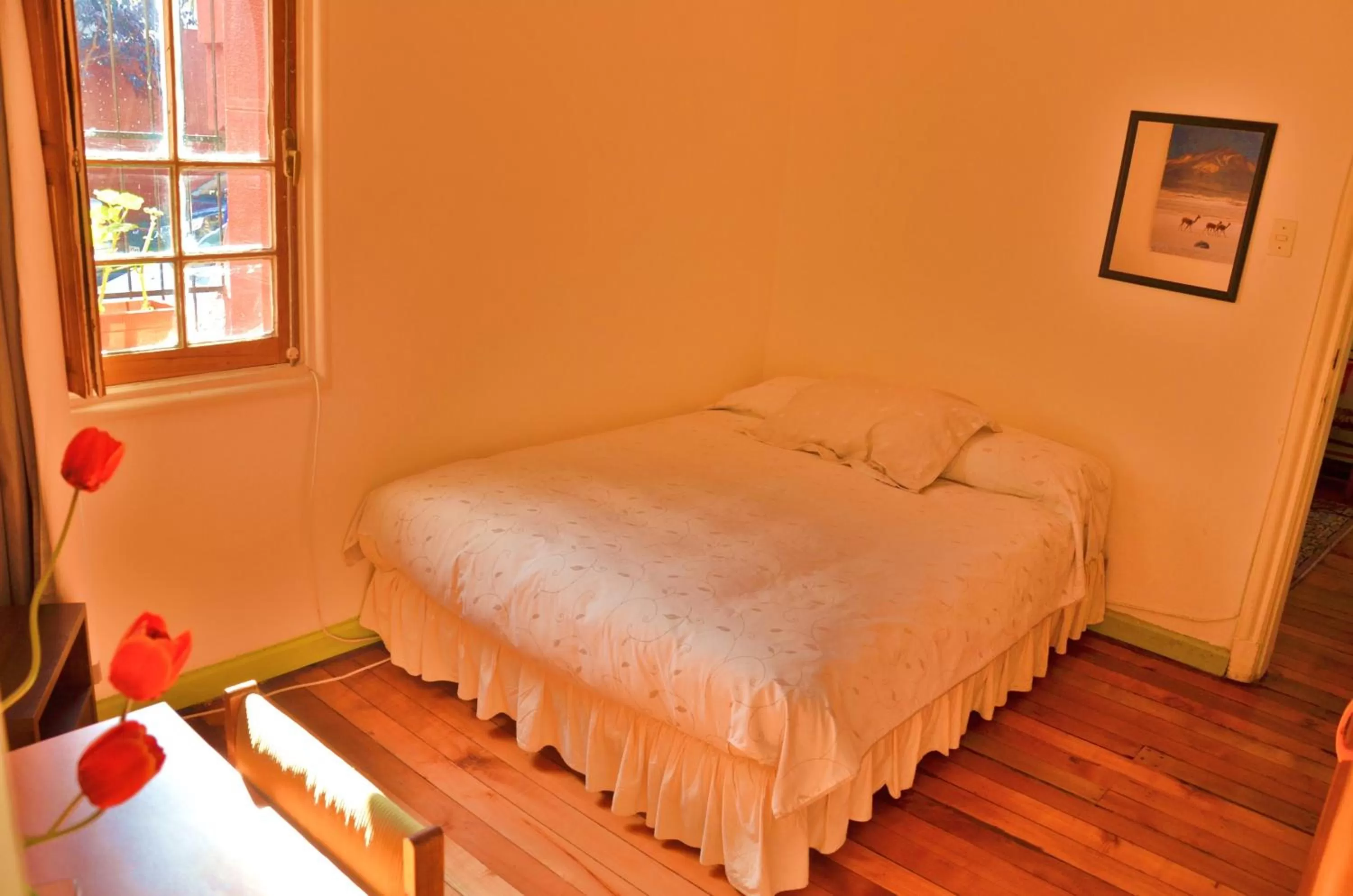 Bed in Tralkan B&B