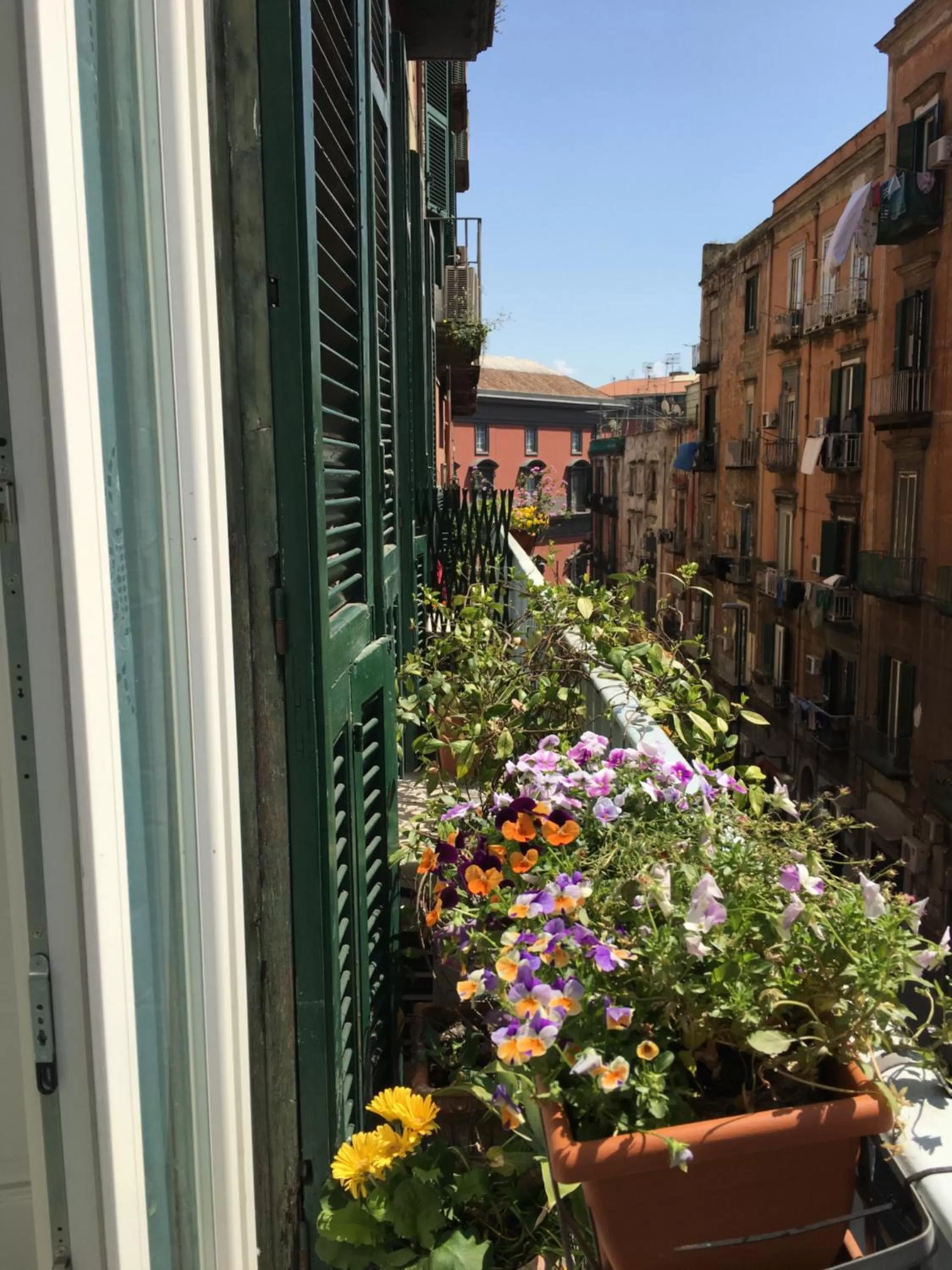 Landmark view in B&B Arte e Musei