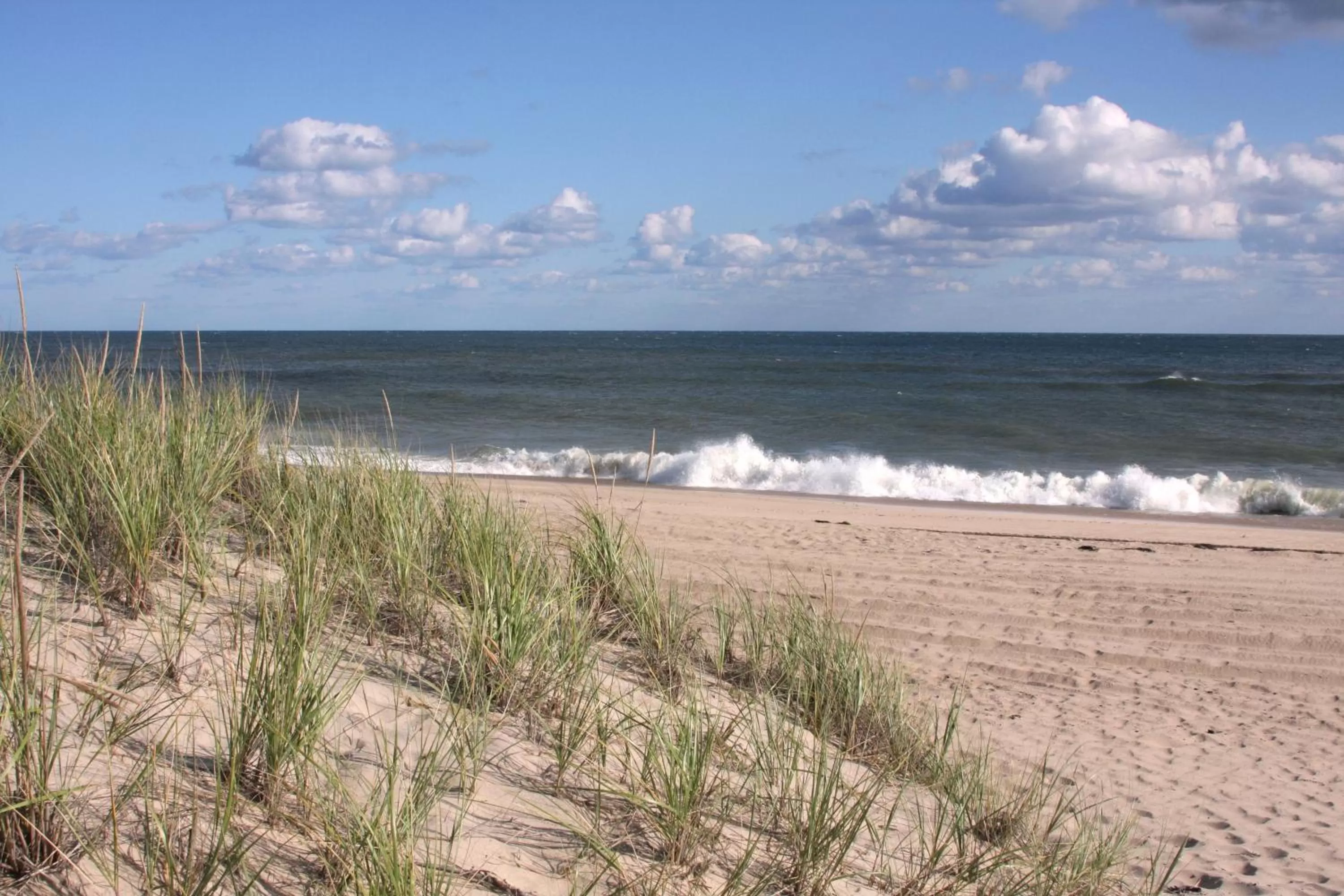 Beach in Beachcomber Resort at Montauk