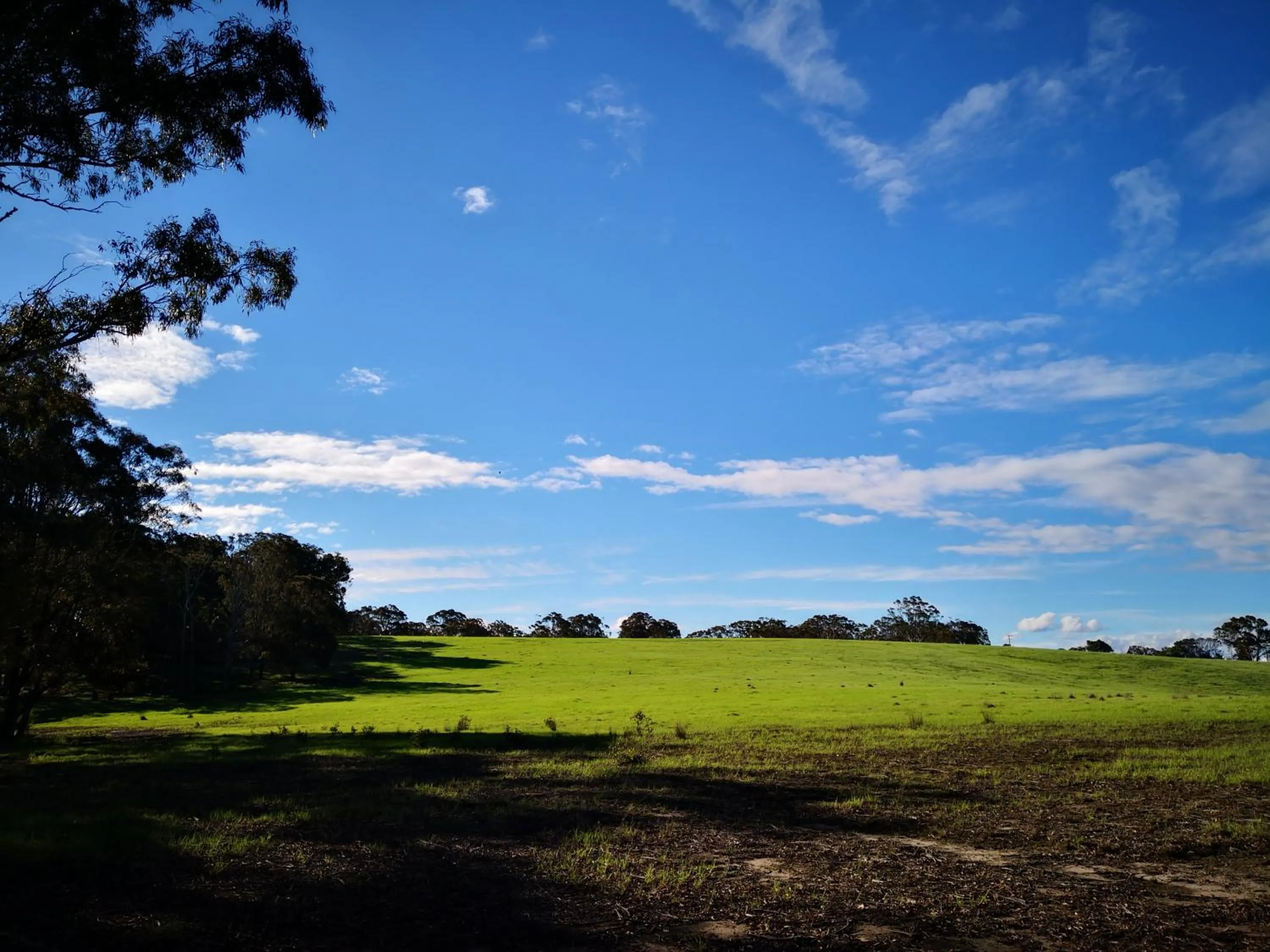 Kalimna Woods Cottages