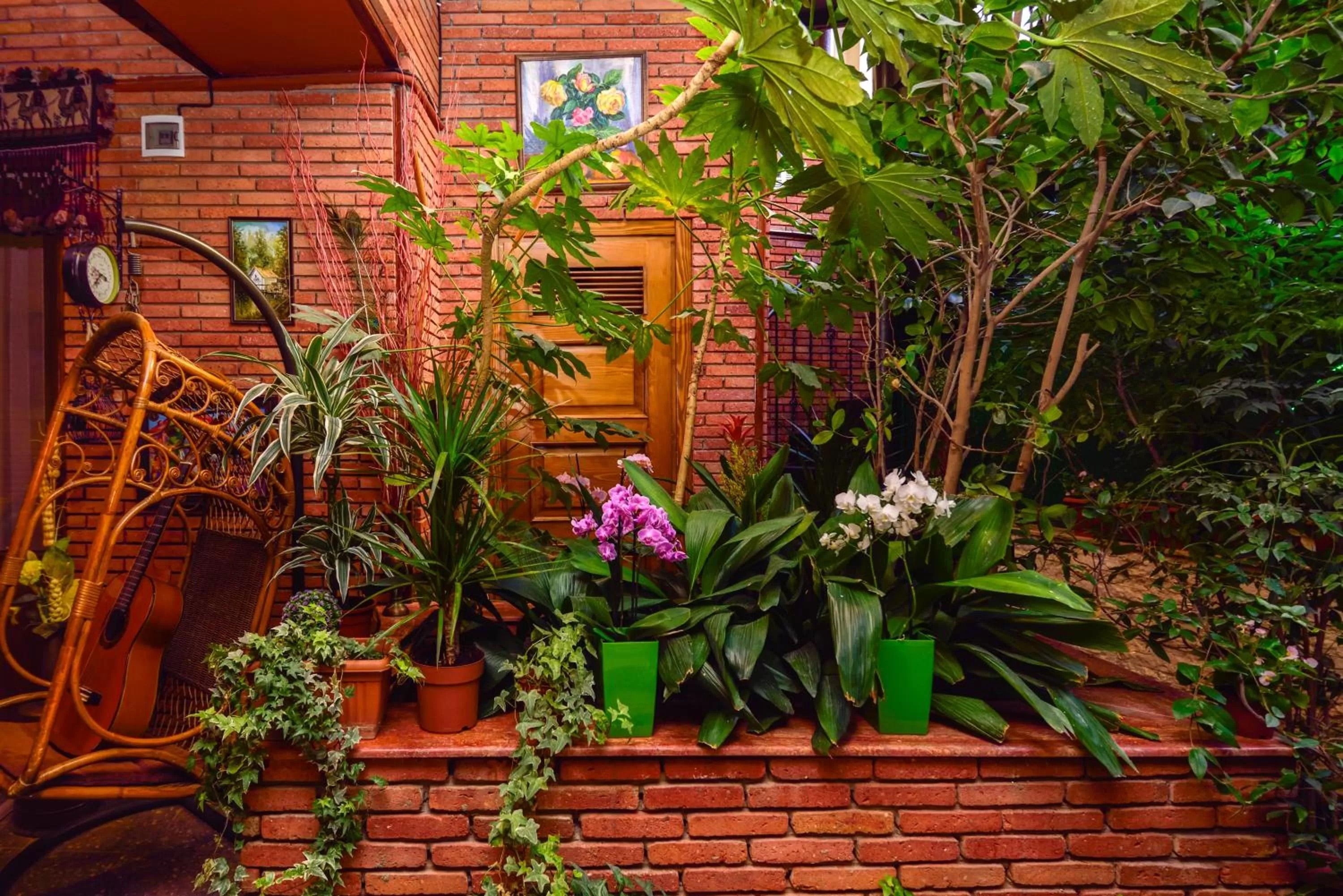 Property building in Hotel British House