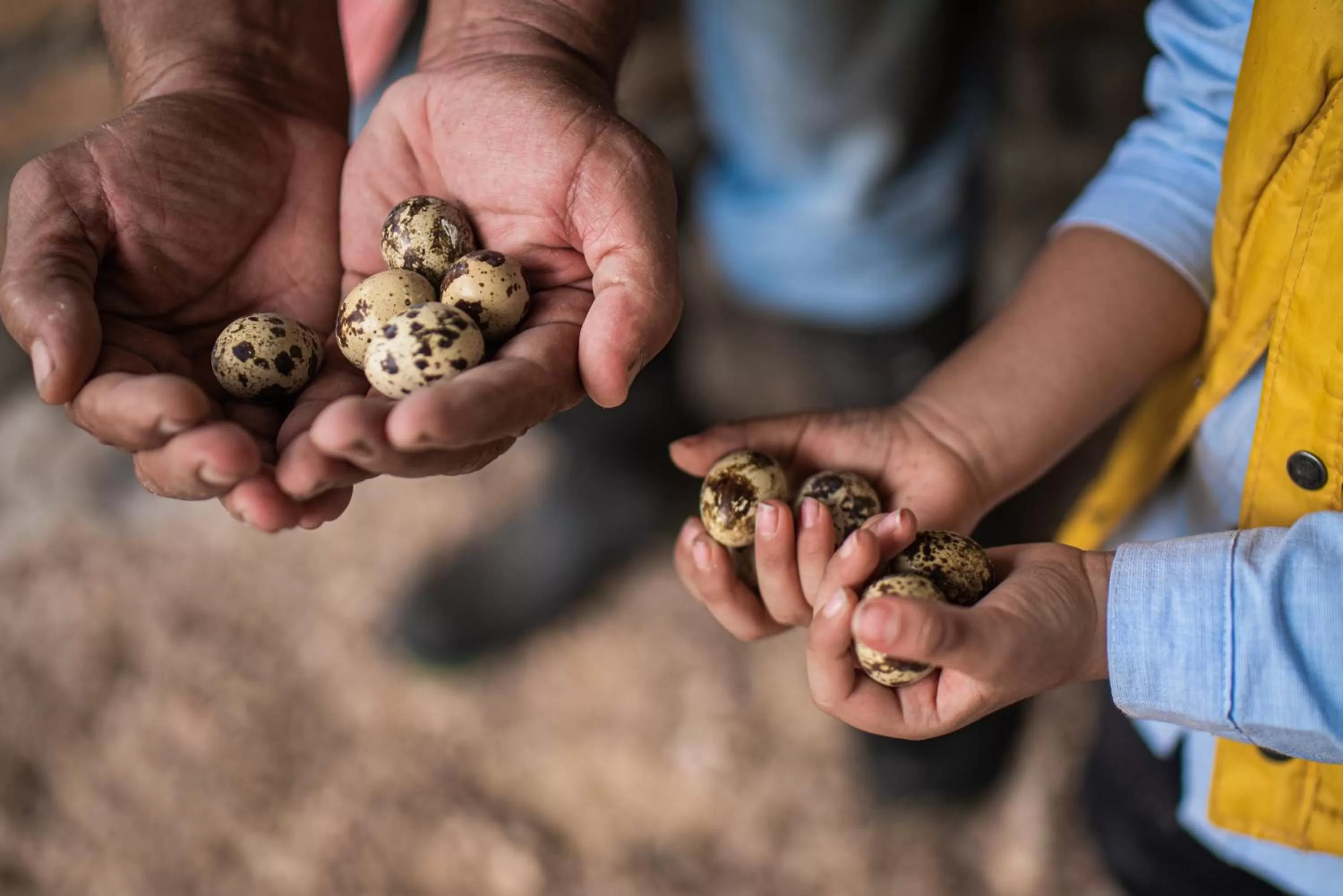 People in Hotel de Campo Villa de Ada