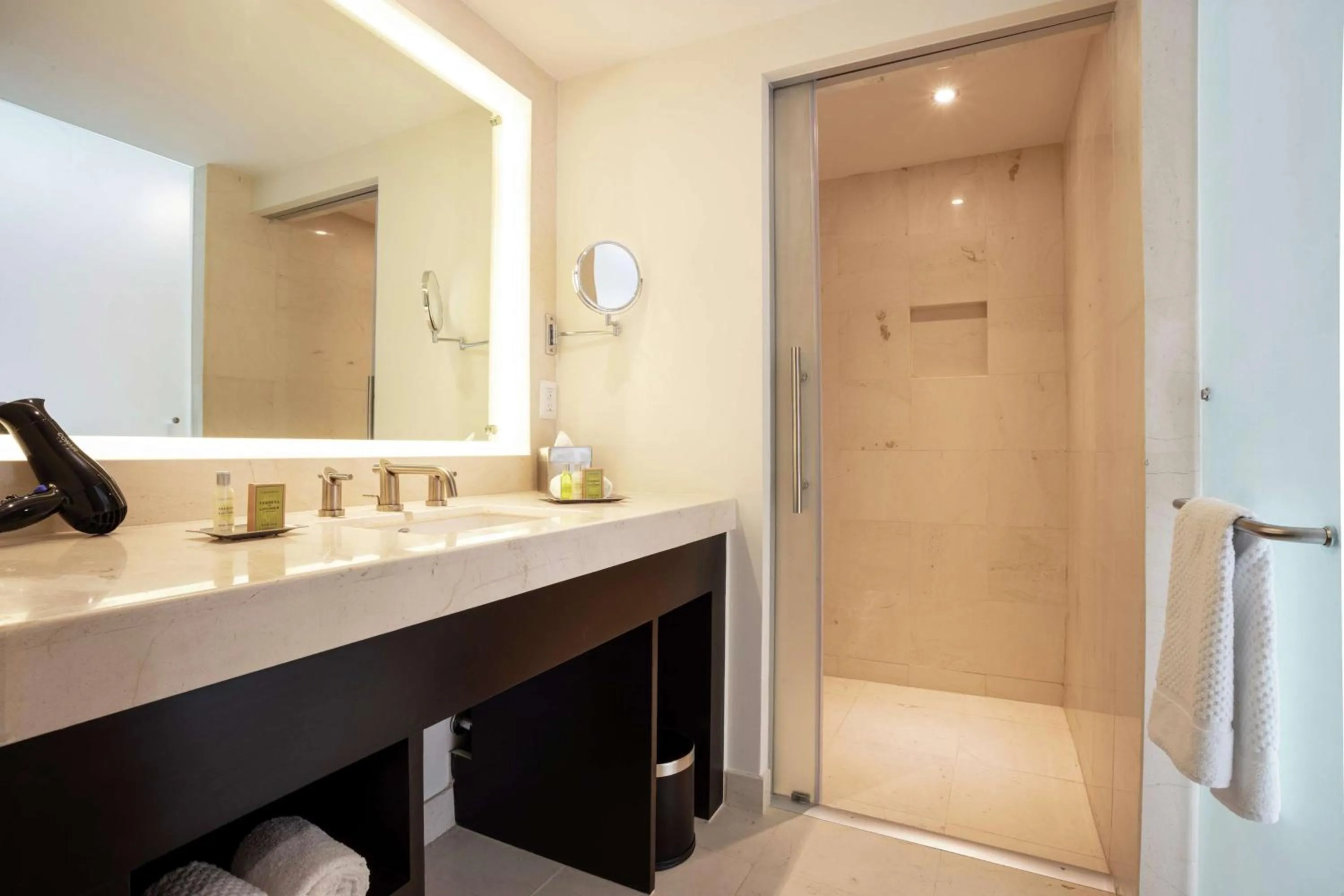 Shower in Doubletree By Hilton Toluca