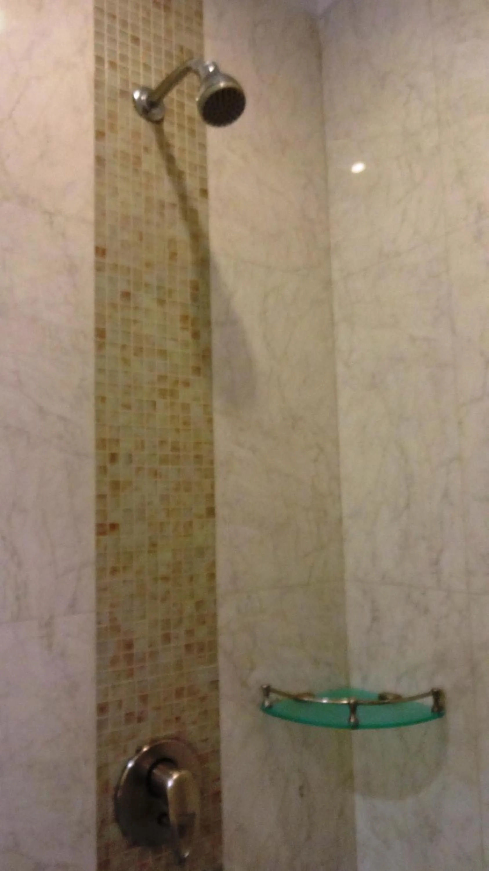 Shower in Hotel Bright